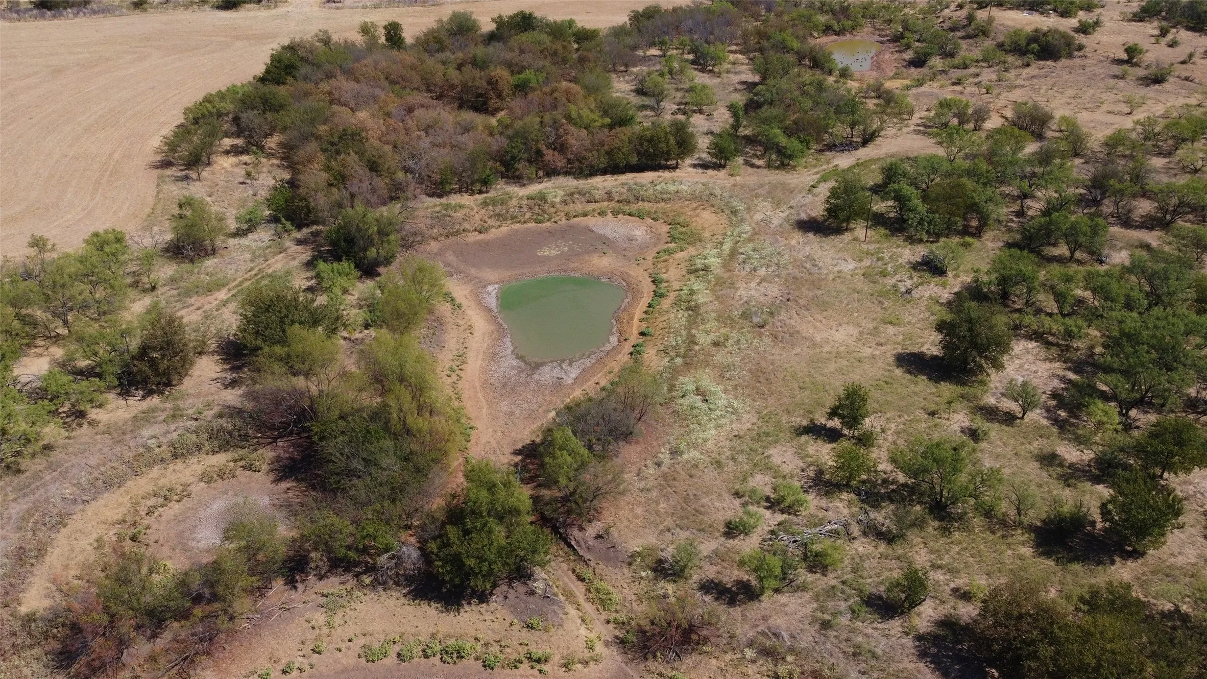 Natural landscape featuring two ponds, varied trees, and open terrain