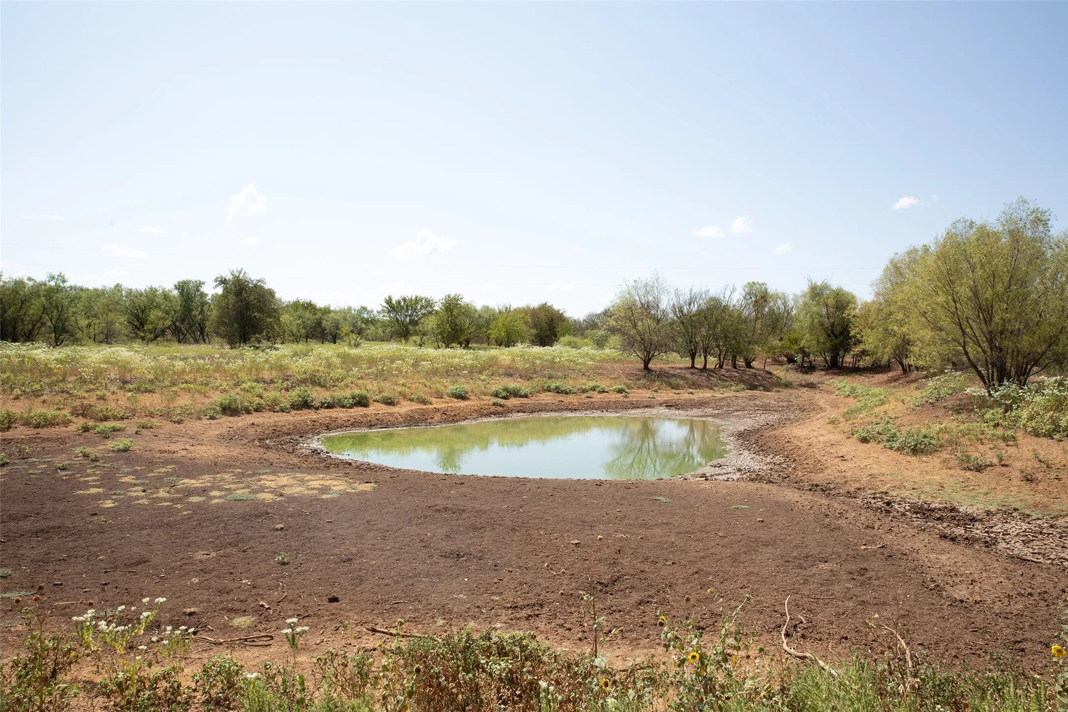 Natural water feature surrounded by varied terrain and established trees