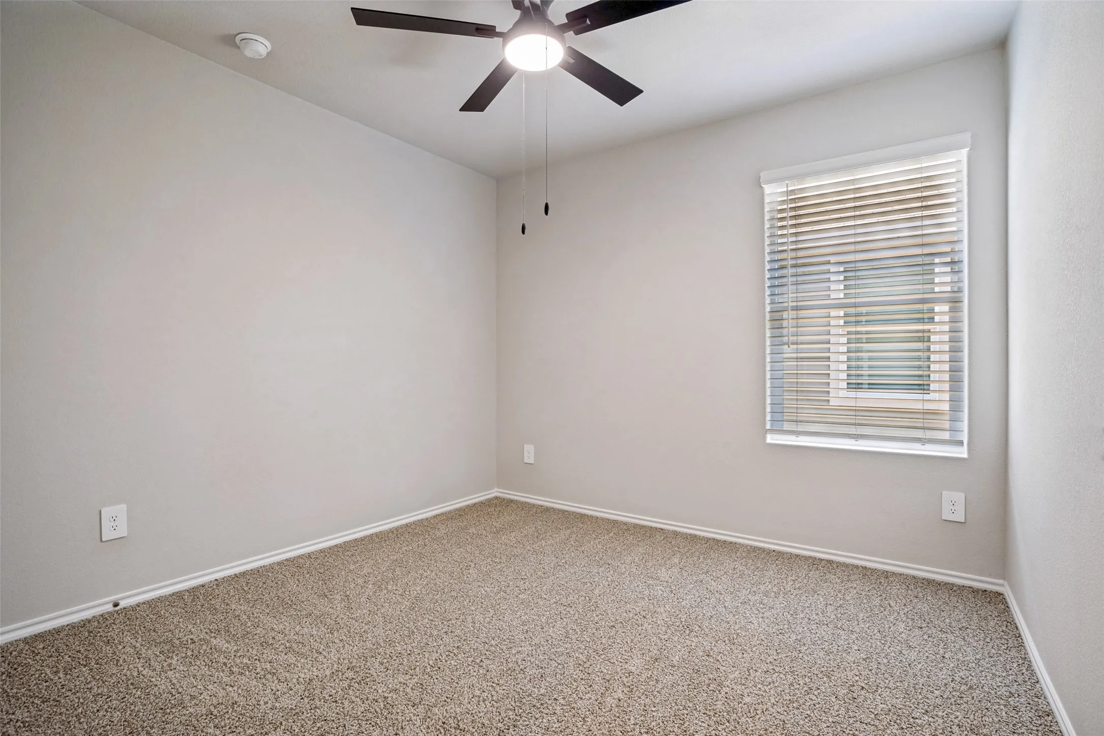 Plush carpet flooring, neutral wall tones, window with horizontal blinds, and a ceiling fan with integrated lighting