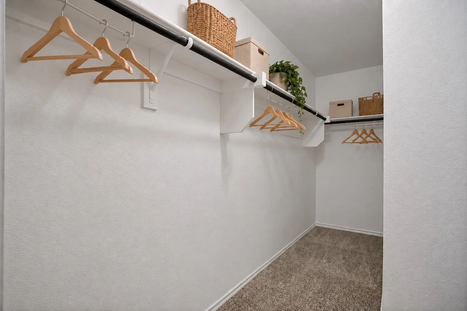 Walk-in closet with integrated shelving, multiple hanging rods, and neutral-toned carpeting