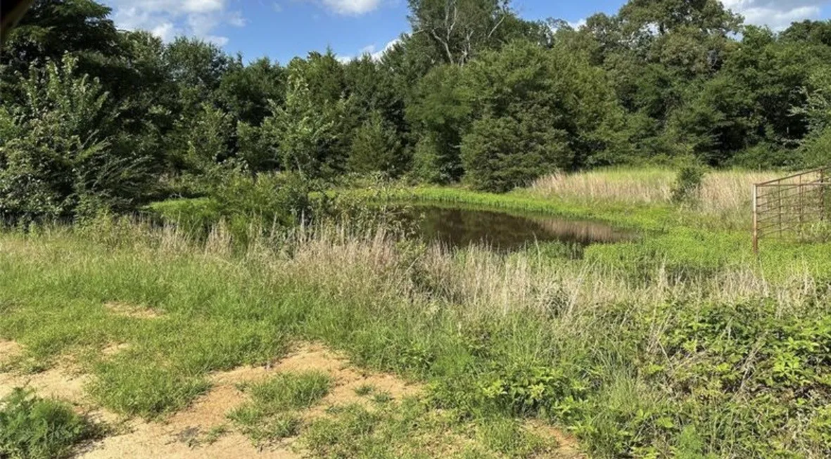 Unimproved Land For Sale in Lamar County , TBD CR 44240, Powderly, Texas 75473, 0, 0, Garage spaces, 0 Sqft, built in 0, mls#21385845, Real Estate Agent in Powderly, Homes For Sale in Lamar county, Homes For Sale in Powderly, Realtor in Powderly Texas, Real Estate Brokerage Independent Realty Texas, Luminita Cordes Realtor
