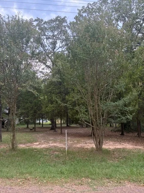 Unimproved Land For Sale in Henderson County , 000 Jim Bowie Lane, Log Cabin, Texas 75148, 0, 0, Garage spaces, 0 Sqft, built in 0, mls#21386038, Real Estate Agent in Log Cabin, Homes For Sale in Henderson county, Homes For Sale in Log Cabin, Realtor in Log Cabin Texas, Real Estate Brokerage Independent Realty Texas, Luminita Cordes Realtor