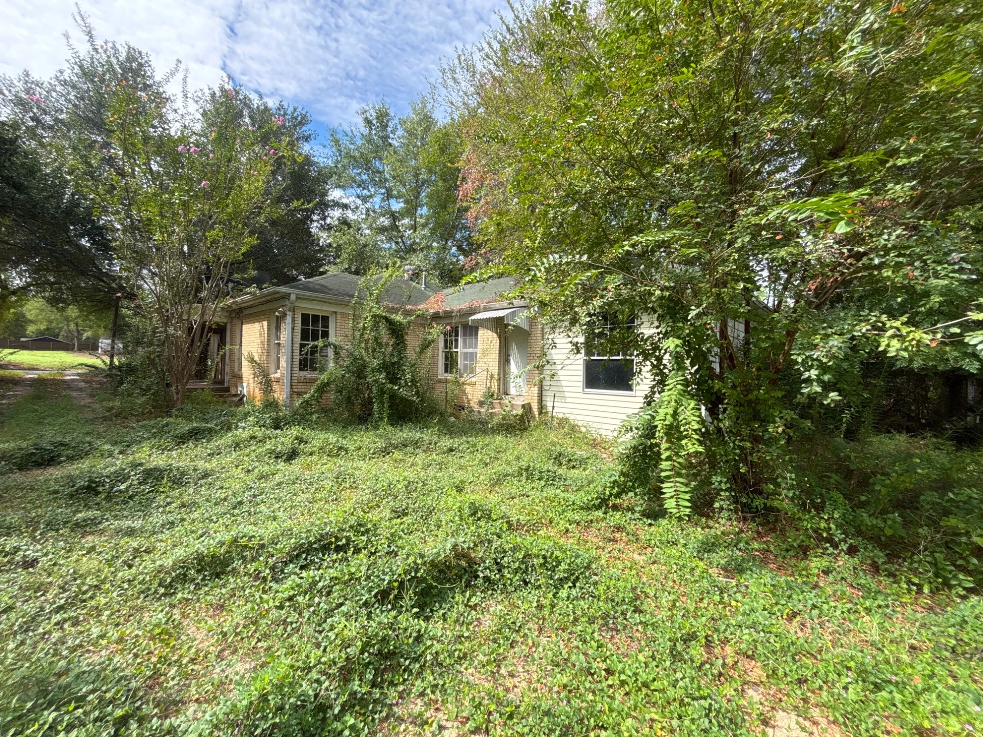 Rear elevation profile of the home nestled in a quiet, heavily wooded setting.