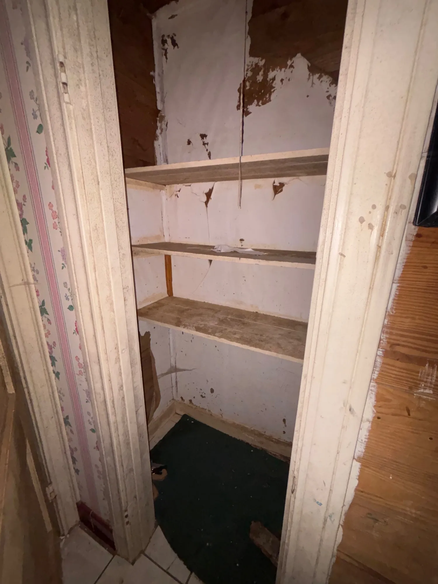 Dedicated hall storage closet fitted with built-in wooden wall shelving.