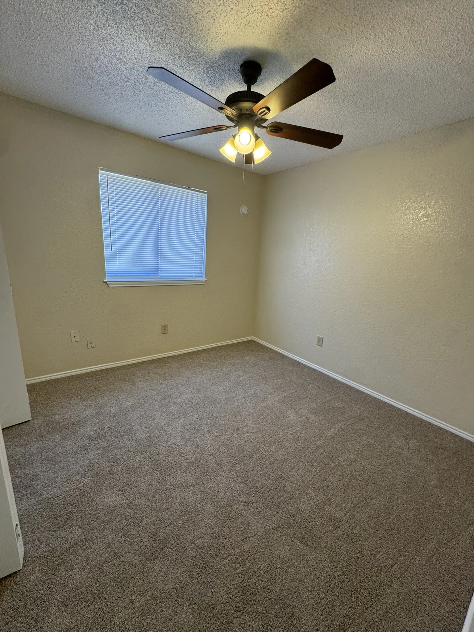 Carpeted flooring with a ceiling fan light fixture and window with blinds