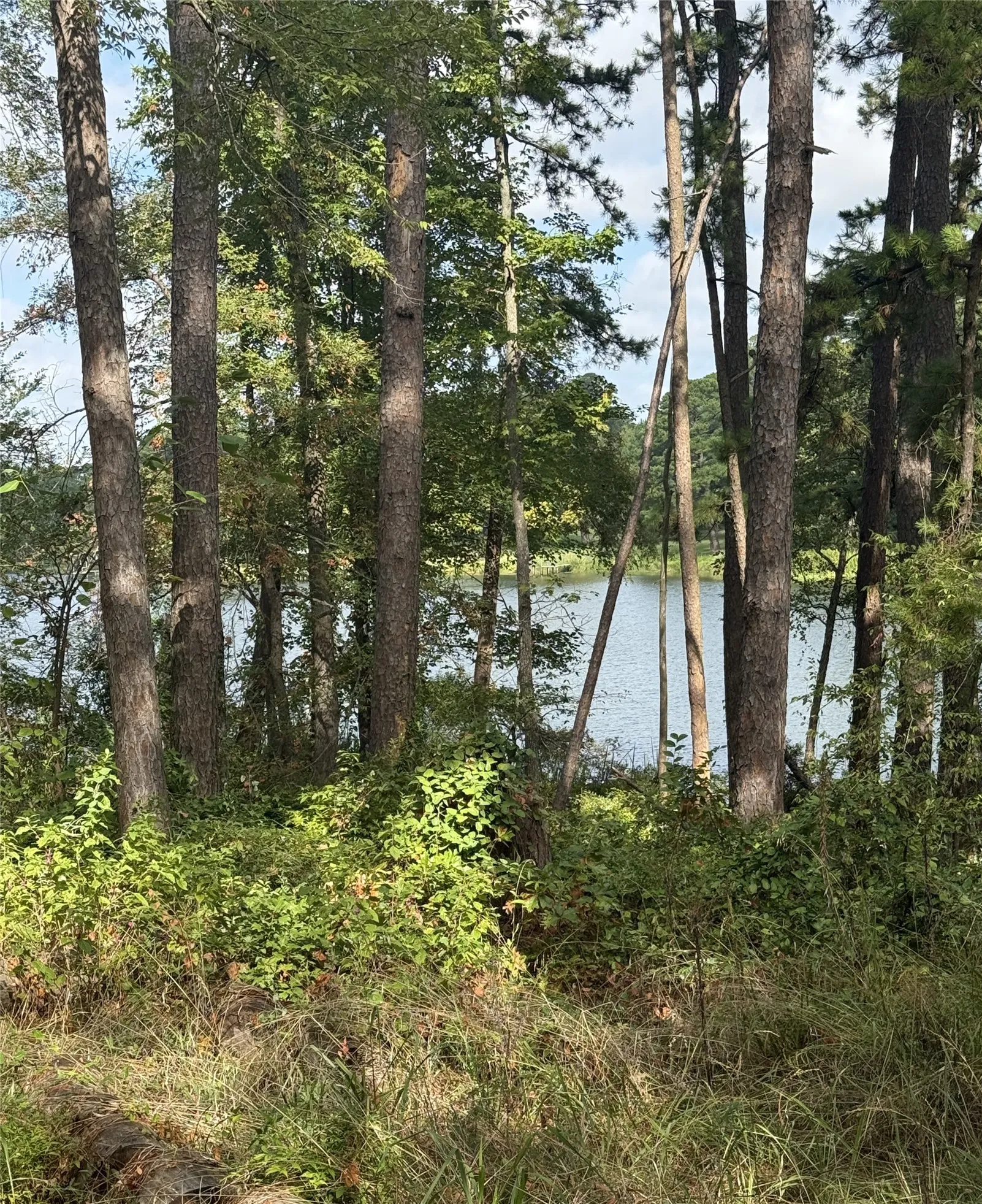 Unimproved Land For Sale in Smith County , 13254 County Road 468, Tyler, Texas 75704, 0, 0, Garage spaces, 0 Sqft, built in 0, mls#21386023, Real Estate Agent in Tyler, Homes For Sale in Smith county, Homes For Sale in Tyler, Realtor in Tyler Texas, Real Estate Brokerage Independent Realty Texas, Luminita Cordes Realtor