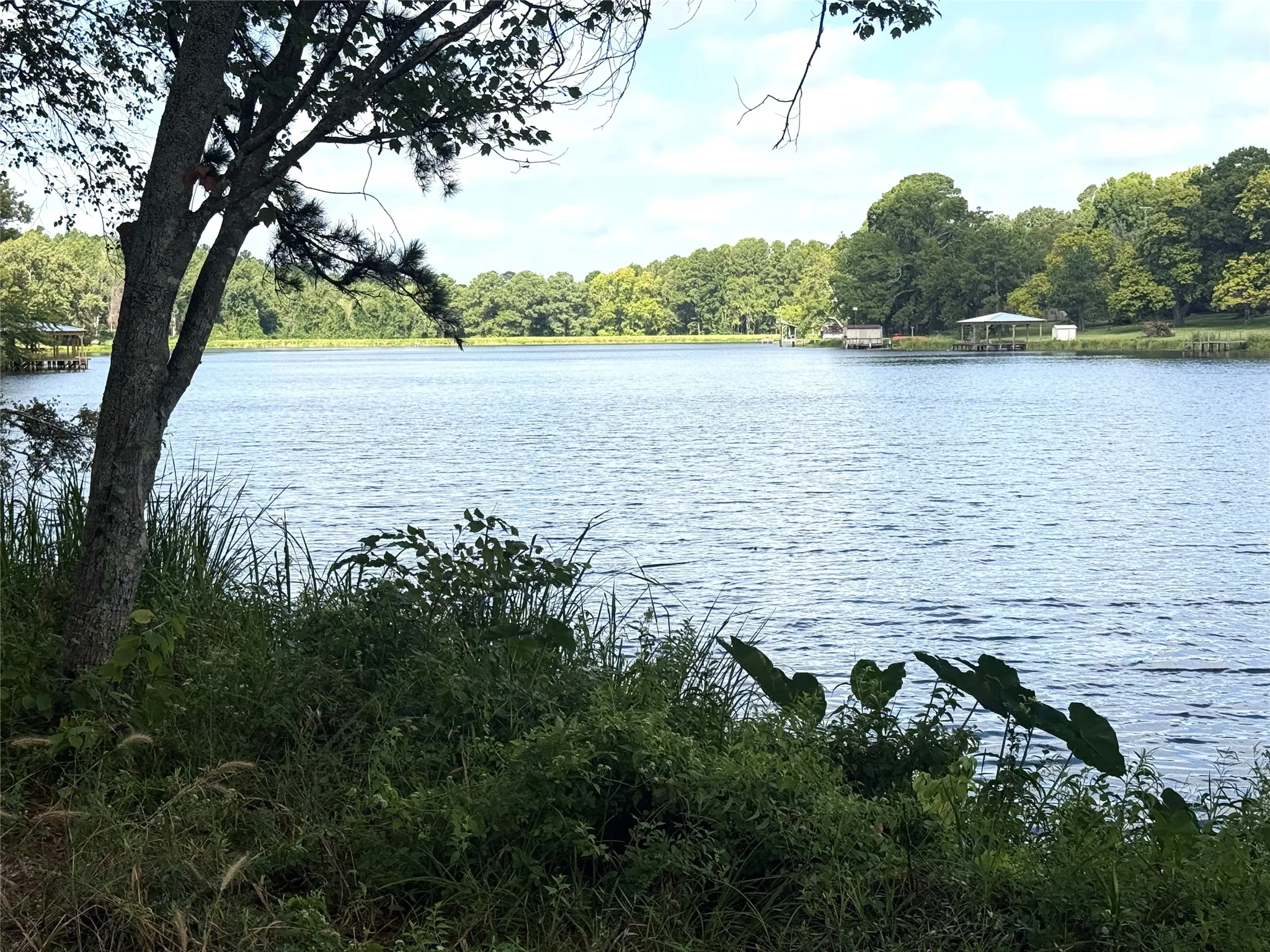 Unimproved Land For Sale in Smith County , 13254 County Road 468, Tyler, Texas 75704, 0, 0, Garage spaces, 0 Sqft, built in 0, mls#21386023, Real Estate Agent in Tyler, Homes For Sale in Smith county, Homes For Sale in Tyler, Realtor in Tyler Texas, Real Estate Brokerage Independent Realty Texas, Luminita Cordes Realtor