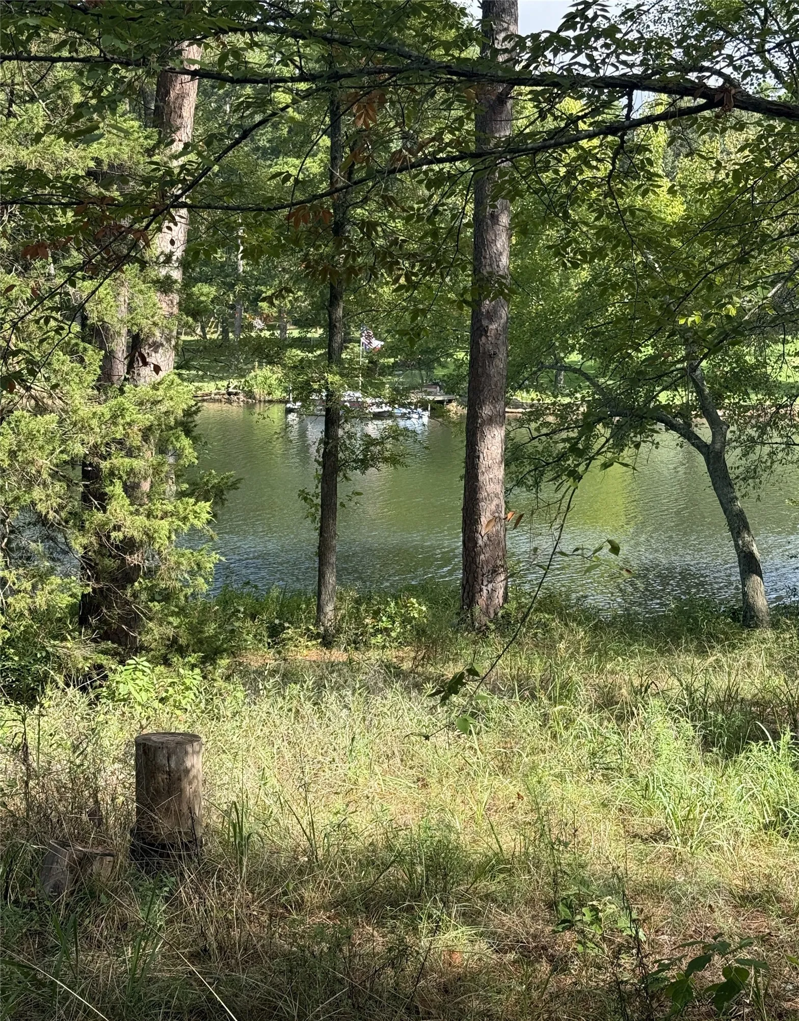 Unimproved Land For Sale in Smith County , 13254 County Road 468, Tyler, Texas 75704, 0, 0, Garage spaces, 0 Sqft, built in 0, mls#21386023, Real Estate Agent in Tyler, Homes For Sale in Smith county, Homes For Sale in Tyler, Realtor in Tyler Texas, Real Estate Brokerage Independent Realty Texas, Luminita Cordes Realtor