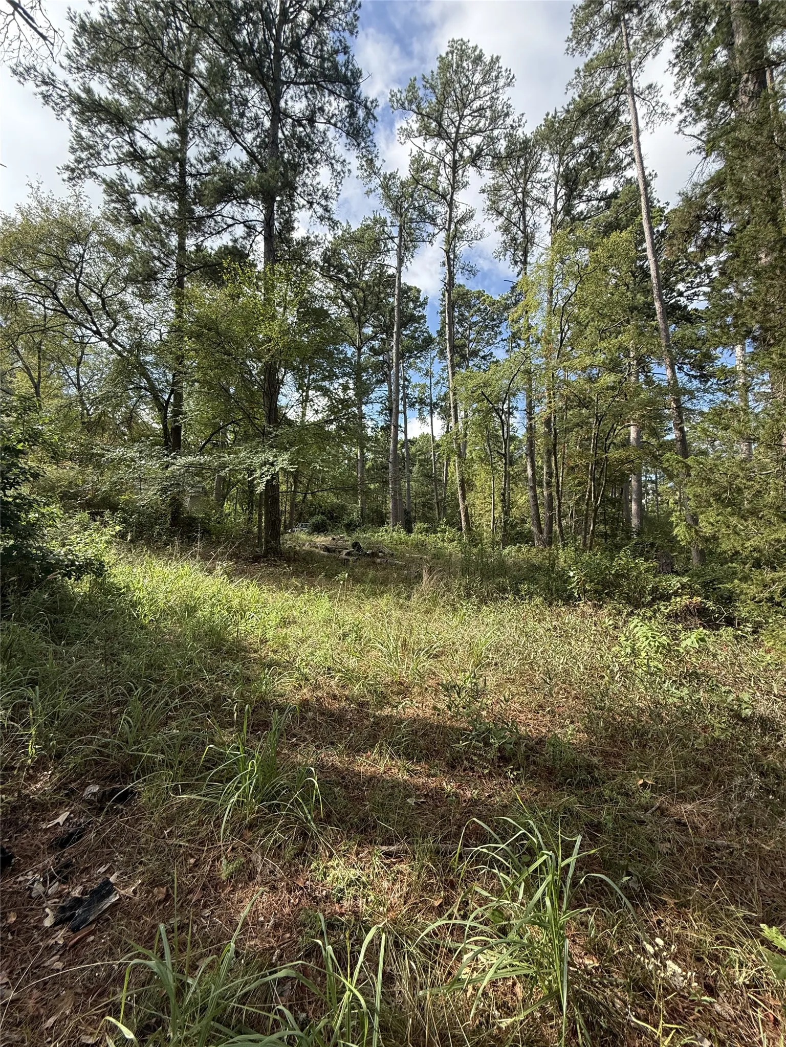 Unimproved Land For Sale in Smith County , 13254 County Road 468, Tyler, Texas 75704, 0, 0, Garage spaces, 0 Sqft, built in 0, mls#21386023, Real Estate Agent in Tyler, Homes For Sale in Smith county, Homes For Sale in Tyler, Realtor in Tyler Texas, Real Estate Brokerage Independent Realty Texas, Luminita Cordes Realtor