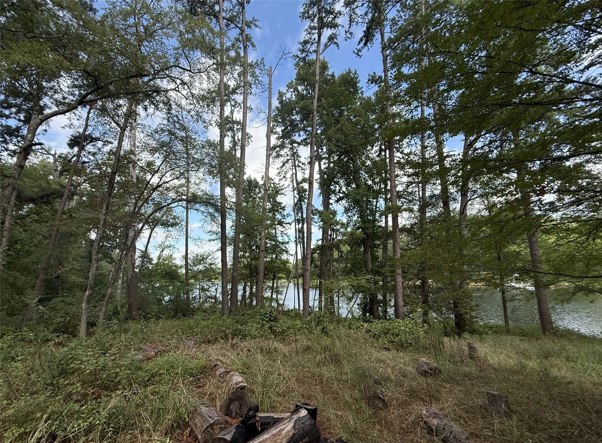 Unimproved Land For Sale in Smith County , 13254 County Road 468, Tyler, Texas 75704, 0, 0, Garage spaces, 0 Sqft, built in 0, mls#21386023, Real Estate Agent in Tyler, Homes For Sale in Smith county, Homes For Sale in Tyler, Realtor in Tyler Texas, Real Estate Brokerage Independent Realty Texas, Luminita Cordes Realtor
