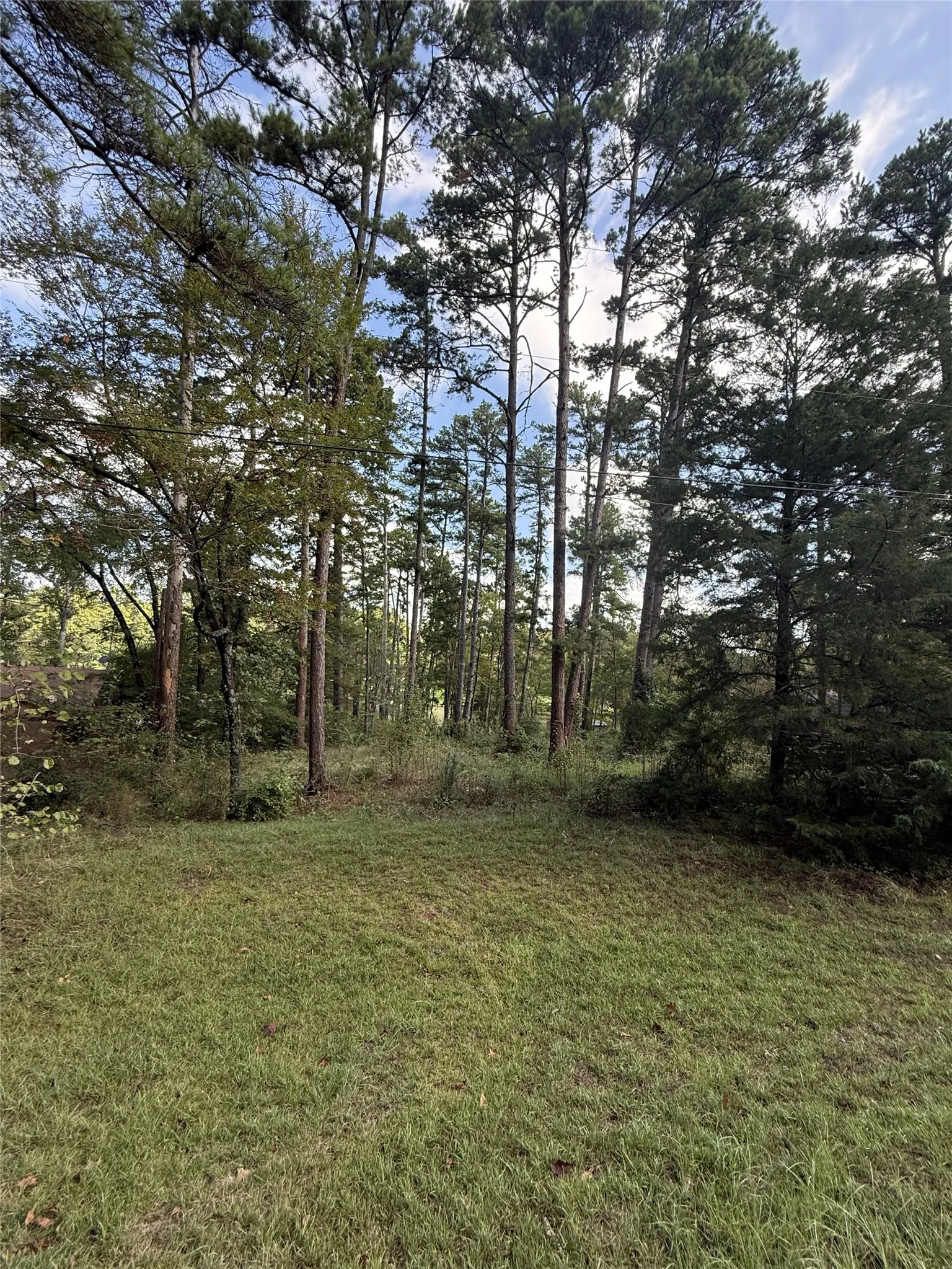 Unimproved Land For Sale in Smith County , 13254 County Road 468, Tyler, Texas 75704, 0, 0, Garage spaces, 0 Sqft, built in 0, mls#21386023, Real Estate Agent in Tyler, Homes For Sale in Smith county, Homes For Sale in Tyler, Realtor in Tyler Texas, Real Estate Brokerage Independent Realty Texas, Luminita Cordes Realtor