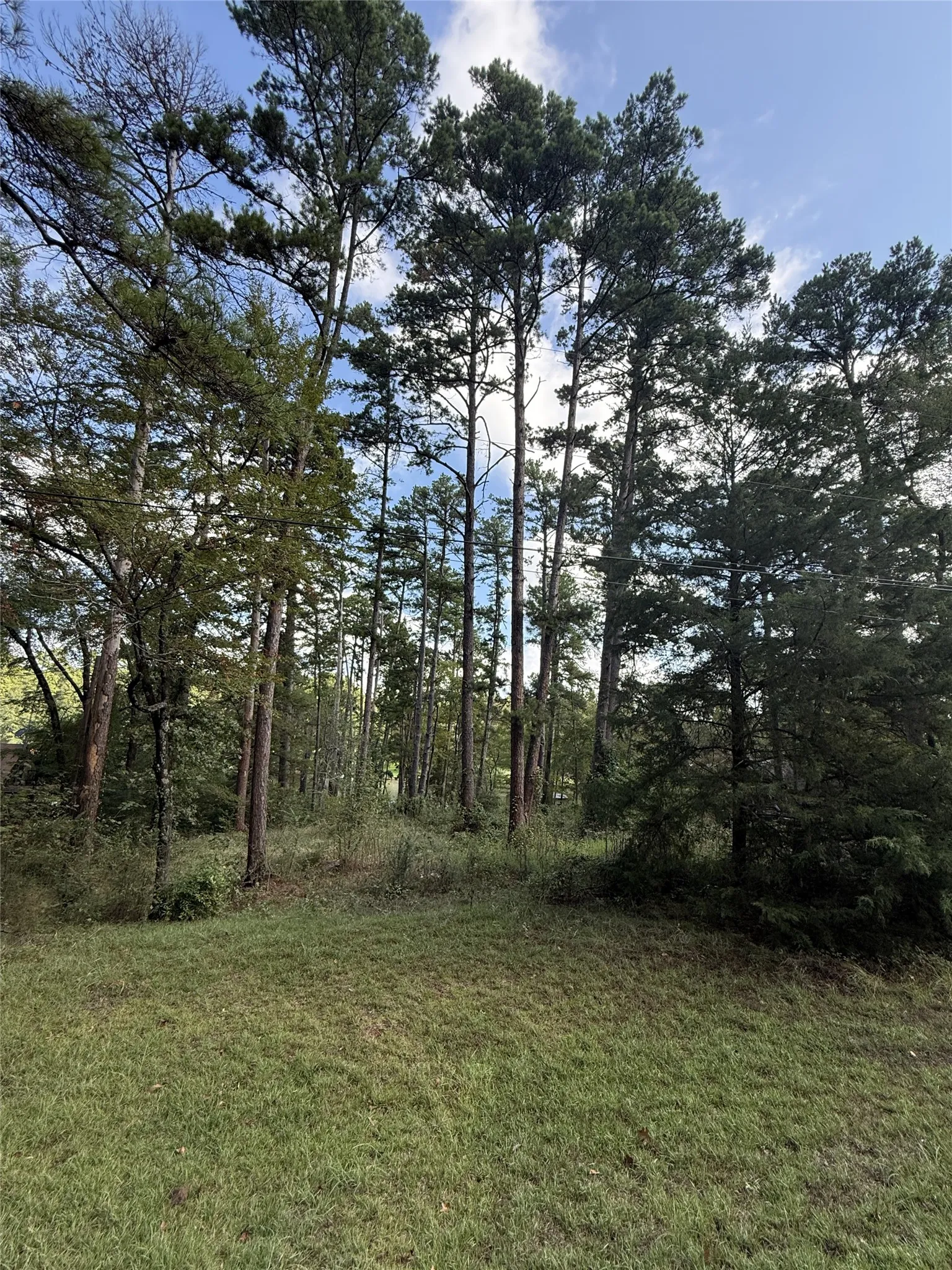 Unimproved Land For Sale in Smith County , 13254 County Road 468, Tyler, Texas 75704, 0, 0, Garage spaces, 0 Sqft, built in 0, mls#21386023, Real Estate Agent in Tyler, Homes For Sale in Smith county, Homes For Sale in Tyler, Realtor in Tyler Texas, Real Estate Brokerage Independent Realty Texas, Luminita Cordes Realtor
