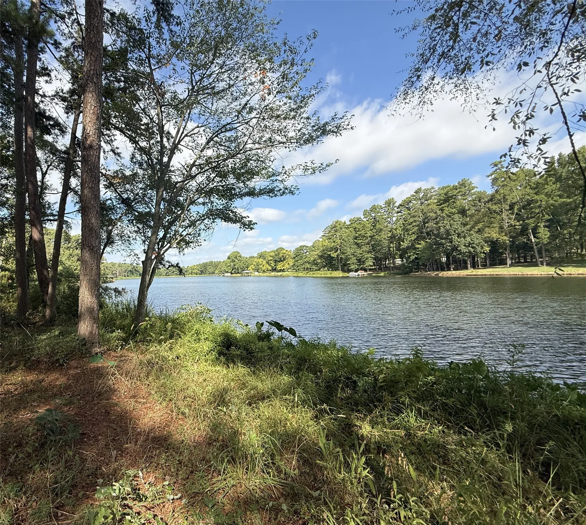 Unimproved Land For Sale in Smith County , 13254 County Road 468, Tyler, Texas 75704, 0, 0, Garage spaces, 0 Sqft, built in 0, mls#21386023, Real Estate Agent in Tyler, Homes For Sale in Smith county, Homes For Sale in Tyler, Realtor in Tyler Texas, Real Estate Brokerage Independent Realty Texas, Luminita Cordes Realtor