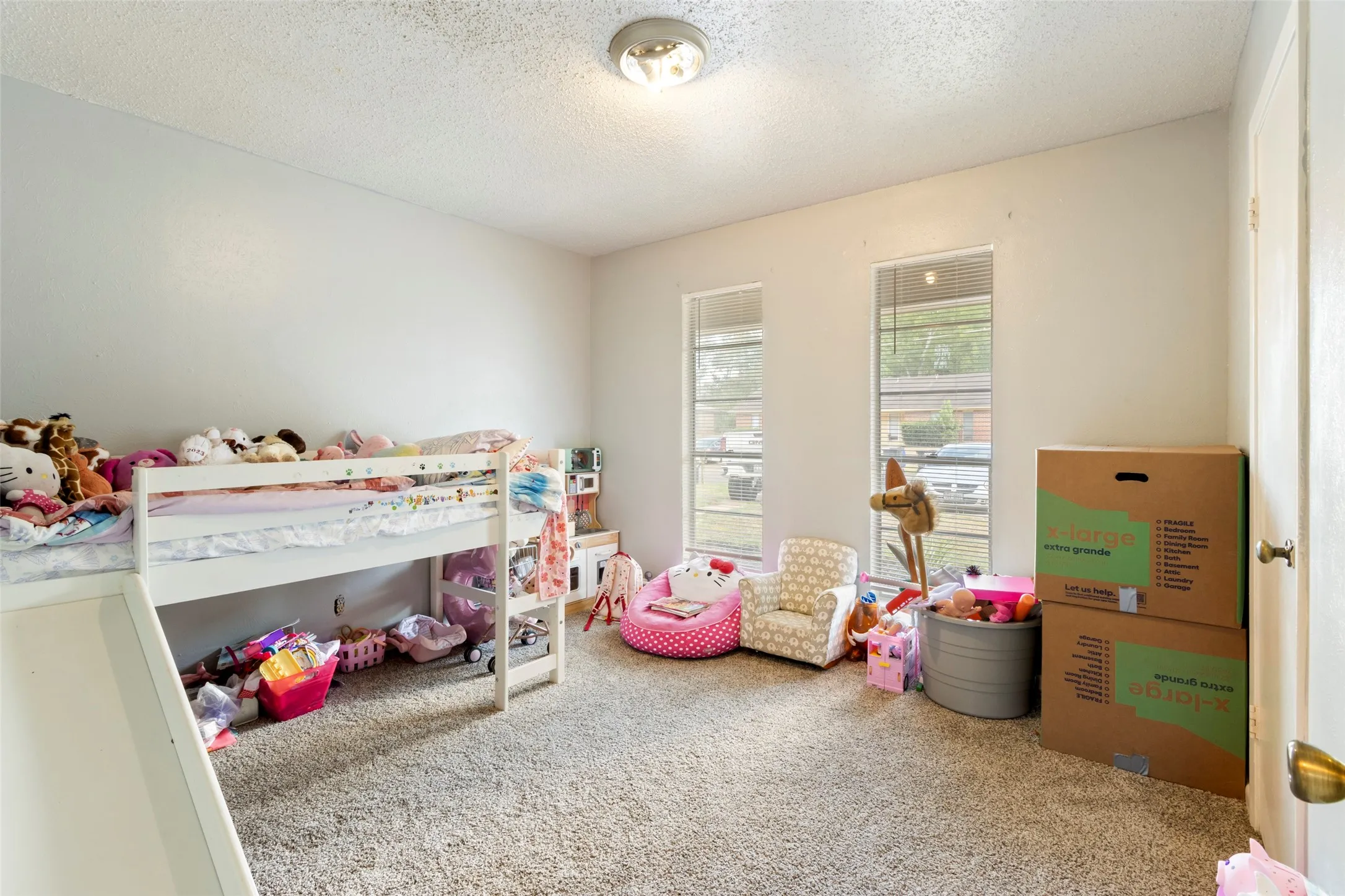 Neutral wall color with a textured ceiling, two vertical windows, and carpet flooring