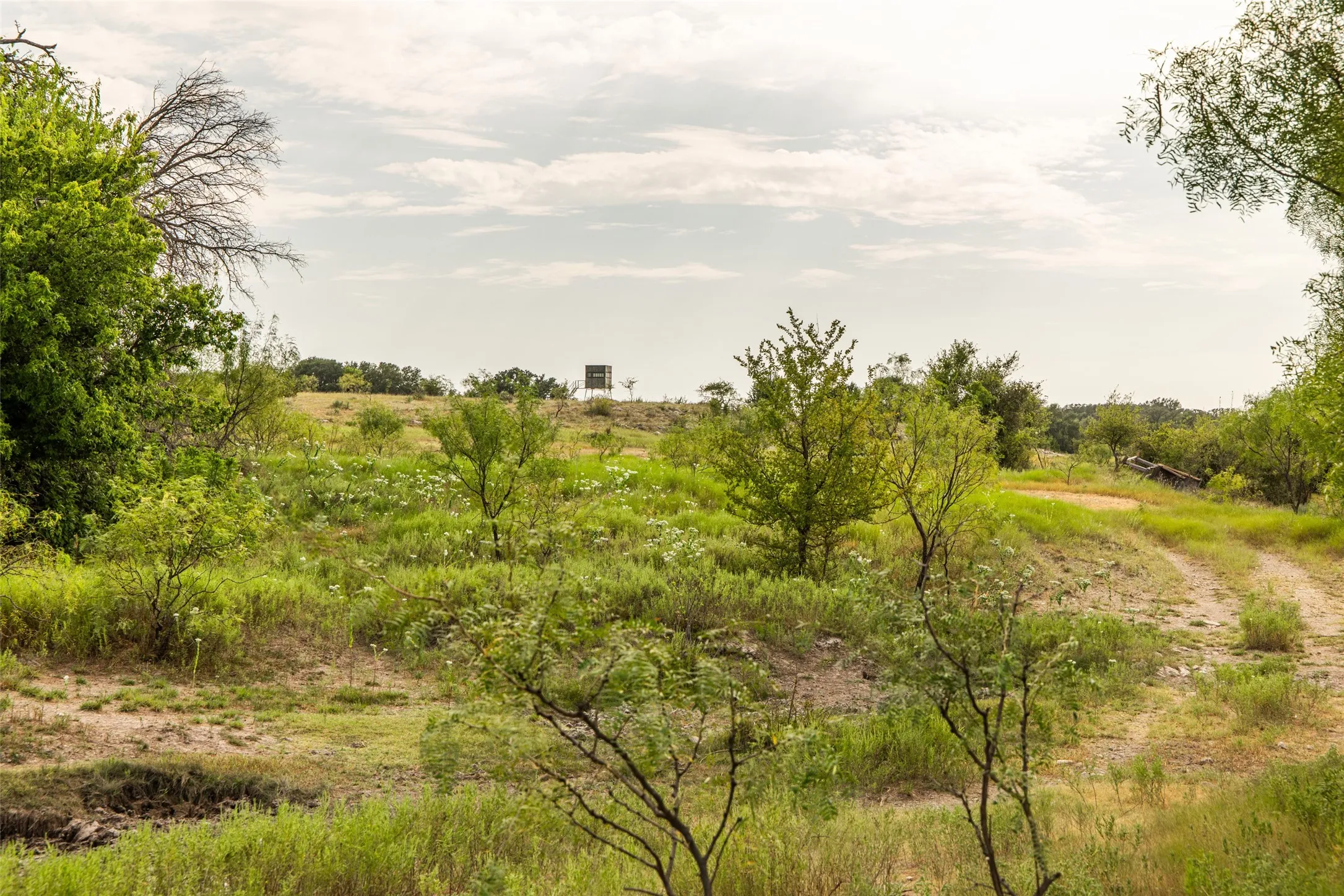 Farm For Sale in Mills County , 1312 W US Highway 84, Mullin, Texas 76864, 3 Bedroom, 2 Bathroom, Garage spaces, 2,000 Sqft, built in 2000, mls#21386063, Real Estate Agent in Mullin, Homes For Sale in Mills county, Homes For Sale in Mullin, Realtor in Mullin Texas, Real Estate Brokerage Independent Realty Texas, Luminita Cordes Realtor
