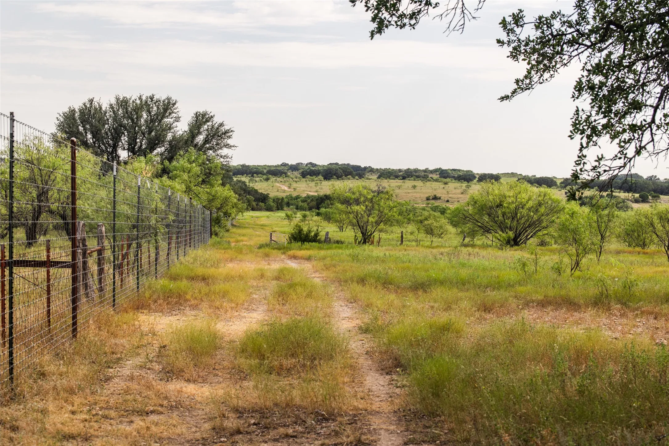 Farm For Sale in Mills County , 1312 W US Highway 84, Mullin, Texas 76864, 3 Bedroom, 2 Bathroom, Garage spaces, 2,000 Sqft, built in 2000, mls#21386063, Real Estate Agent in Mullin, Homes For Sale in Mills county, Homes For Sale in Mullin, Realtor in Mullin Texas, Real Estate Brokerage Independent Realty Texas, Luminita Cordes Realtor