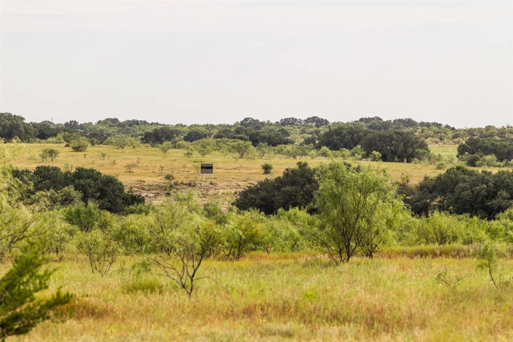 Farm For Sale in Mills County , 1312 W US Highway 84, Mullin, Texas 76864, 3 Bedroom, 2 Bathroom, Garage spaces, 2,000 Sqft, built in 2000, mls#21386063, Real Estate Agent in Mullin, Homes For Sale in Mills county, Homes For Sale in Mullin, Realtor in Mullin Texas, Real Estate Brokerage Independent Realty Texas, Luminita Cordes Realtor
