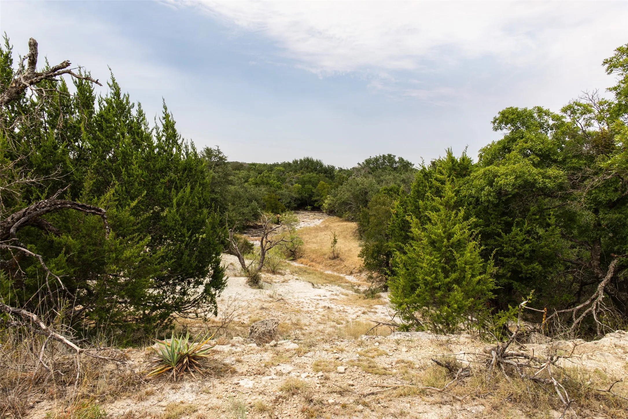 Farm For Sale in Mills County , 1312 W US Highway 84, Mullin, Texas 76864, 3 Bedroom, 2 Bathroom, Garage spaces, 2,000 Sqft, built in 2000, mls#21386063, Real Estate Agent in Mullin, Homes For Sale in Mills county, Homes For Sale in Mullin, Realtor in Mullin Texas, Real Estate Brokerage Independent Realty Texas, Luminita Cordes Realtor