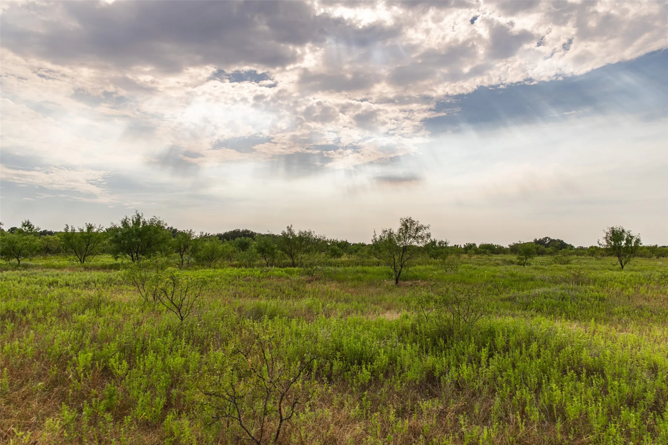 Farm For Sale in Mills County , 1312 W US Highway 84, Mullin, Texas 76864, 3 Bedroom, 2 Bathroom, Garage spaces, 2,000 Sqft, built in 2000, mls#21386063, Real Estate Agent in Mullin, Homes For Sale in Mills county, Homes For Sale in Mullin, Realtor in Mullin Texas, Real Estate Brokerage Independent Realty Texas, Luminita Cordes Realtor