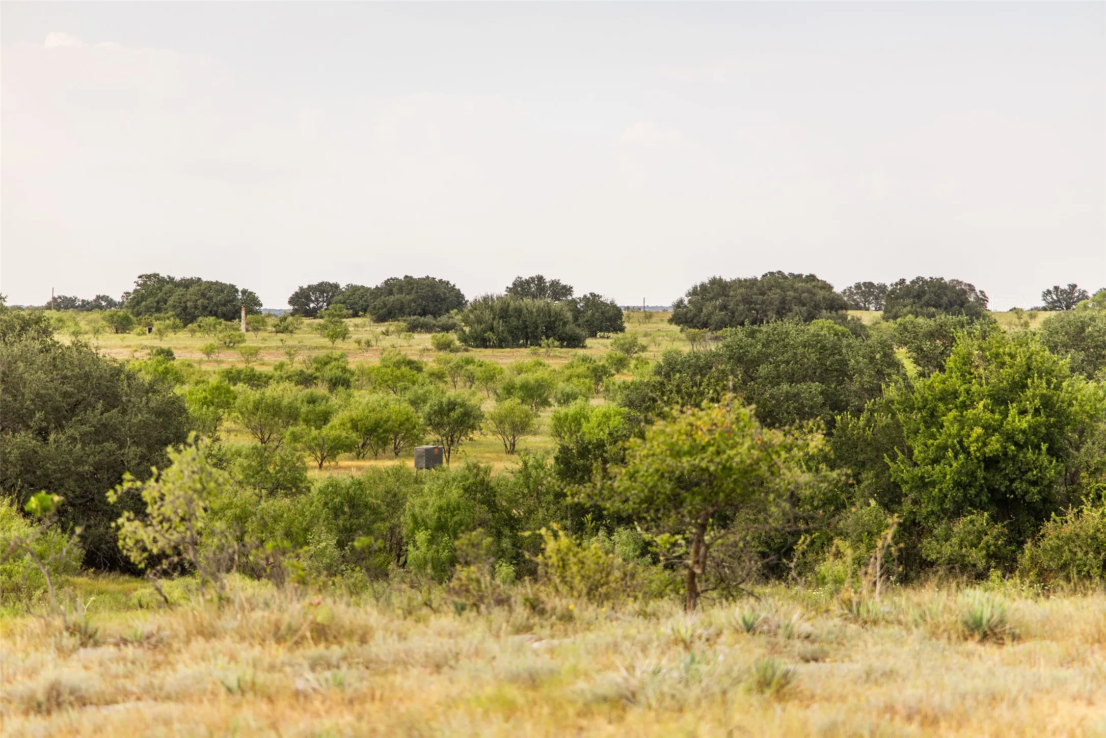 Farm For Sale in Mills County , 1312 W US Highway 84, Mullin, Texas 76864, 3 Bedroom, 2 Bathroom, Garage spaces, 2,000 Sqft, built in 2000, mls#21386063, Real Estate Agent in Mullin, Homes For Sale in Mills county, Homes For Sale in Mullin, Realtor in Mullin Texas, Real Estate Brokerage Independent Realty Texas, Luminita Cordes Realtor