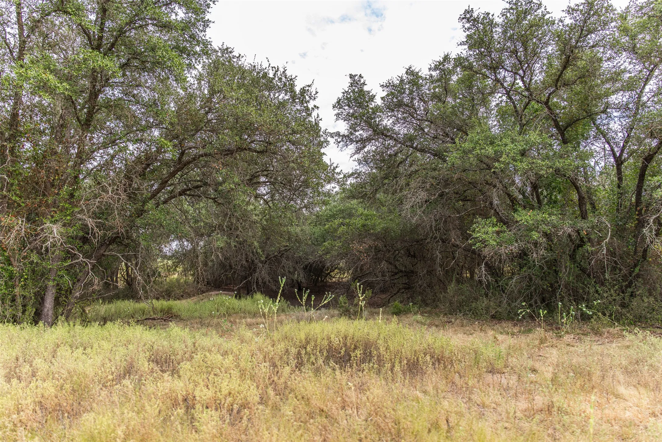 Farm For Sale in Mills County , 1312 W US Highway 84, Mullin, Texas 76864, 3 Bedroom, 2 Bathroom, Garage spaces, 2,000 Sqft, built in 2000, mls#21386063, Real Estate Agent in Mullin, Homes For Sale in Mills county, Homes For Sale in Mullin, Realtor in Mullin Texas, Real Estate Brokerage Independent Realty Texas, Luminita Cordes Realtor