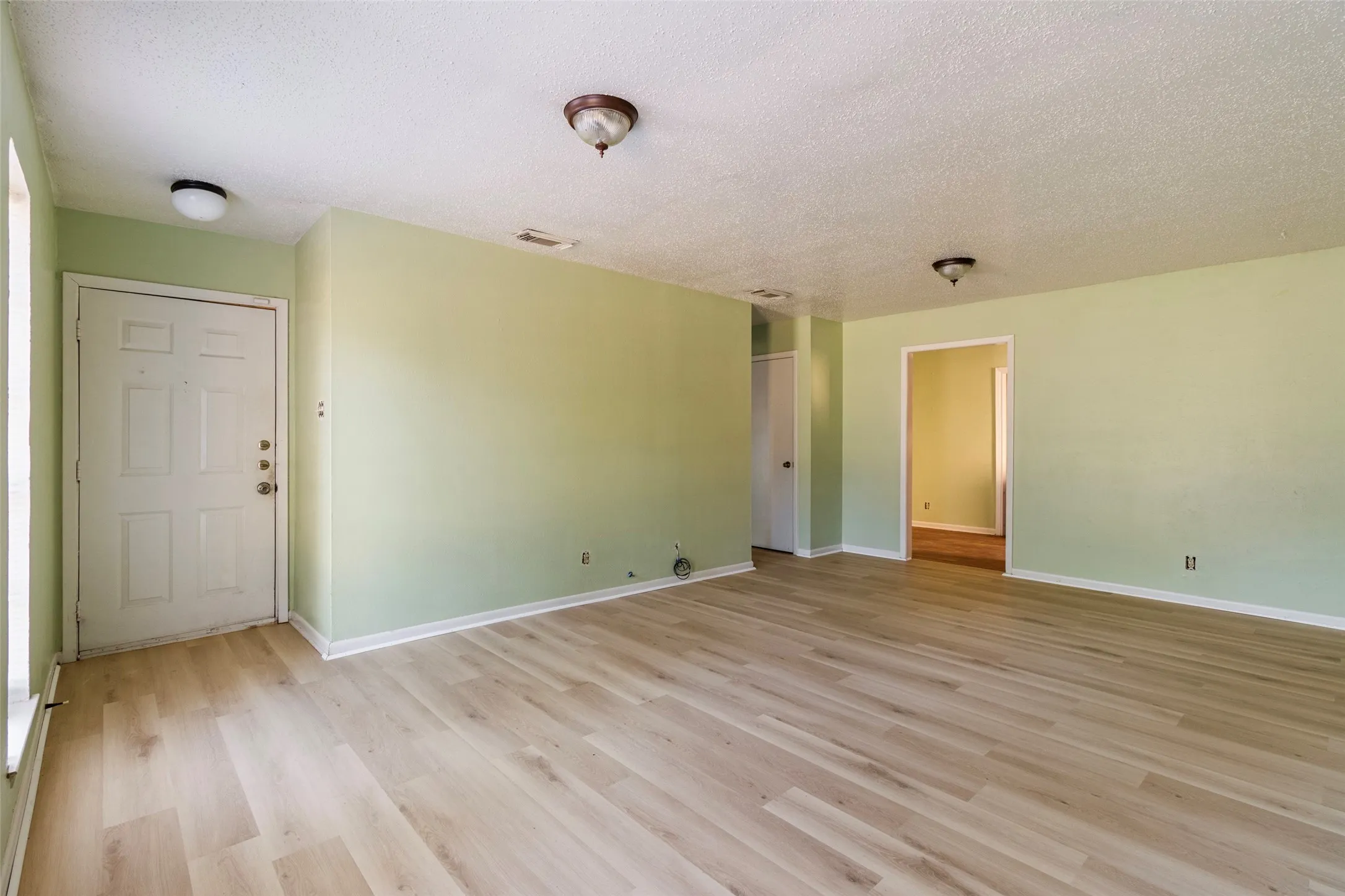 Wood-finish flooring, light green wall paint, overhead lighting, and white trim