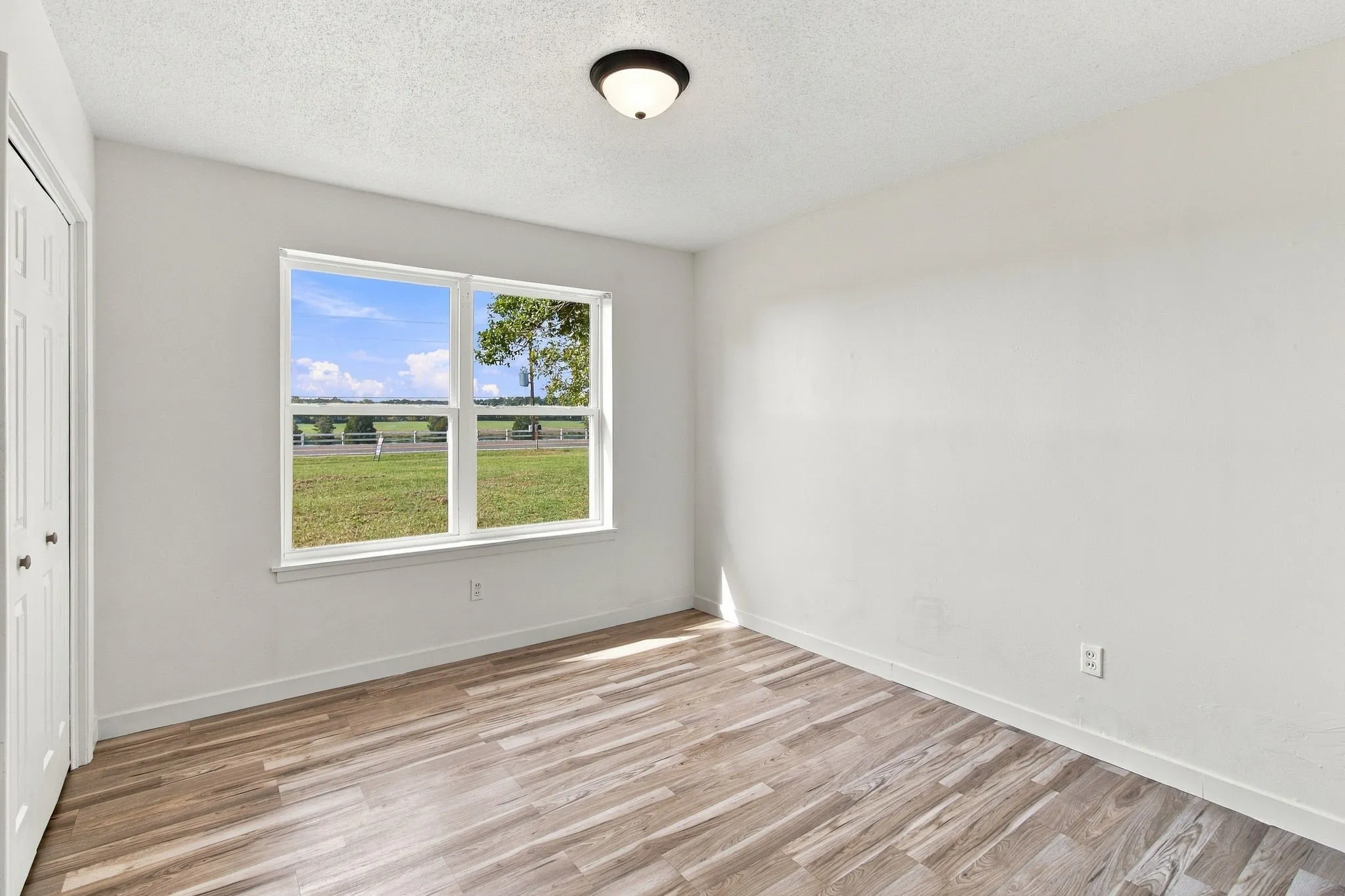 Spacious room with LVP flooring, neutral wall tones, a large window, and a ceiling-mounted light fixture
