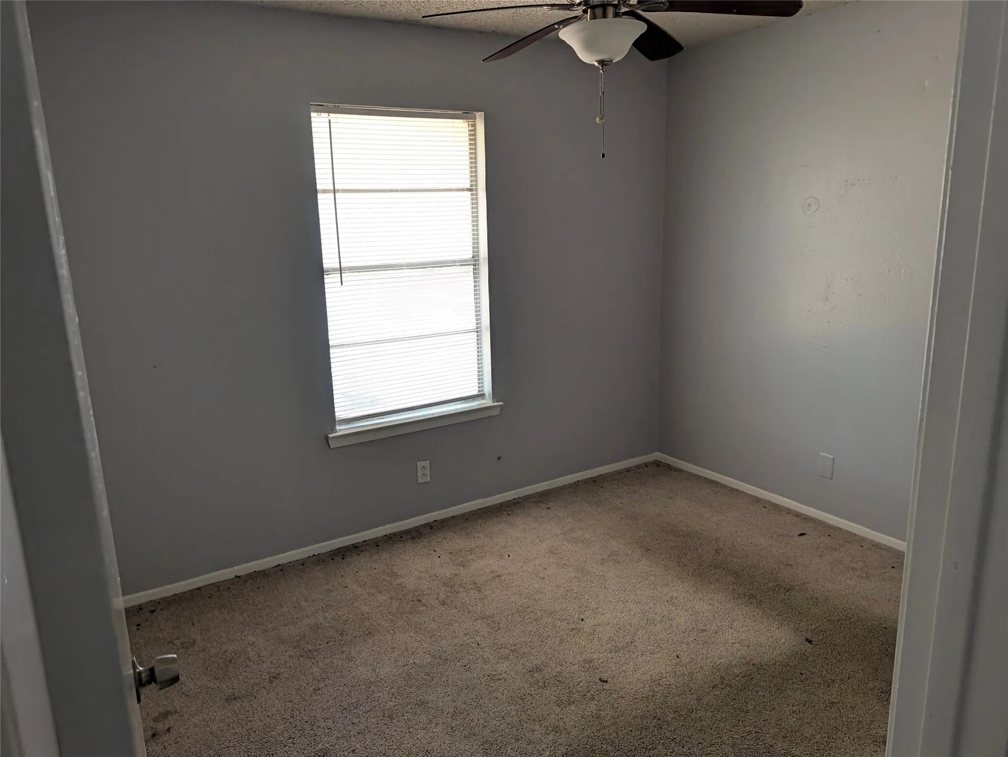 Carpeted room with a ceiling fan, window with blinds, and light gray painted walls