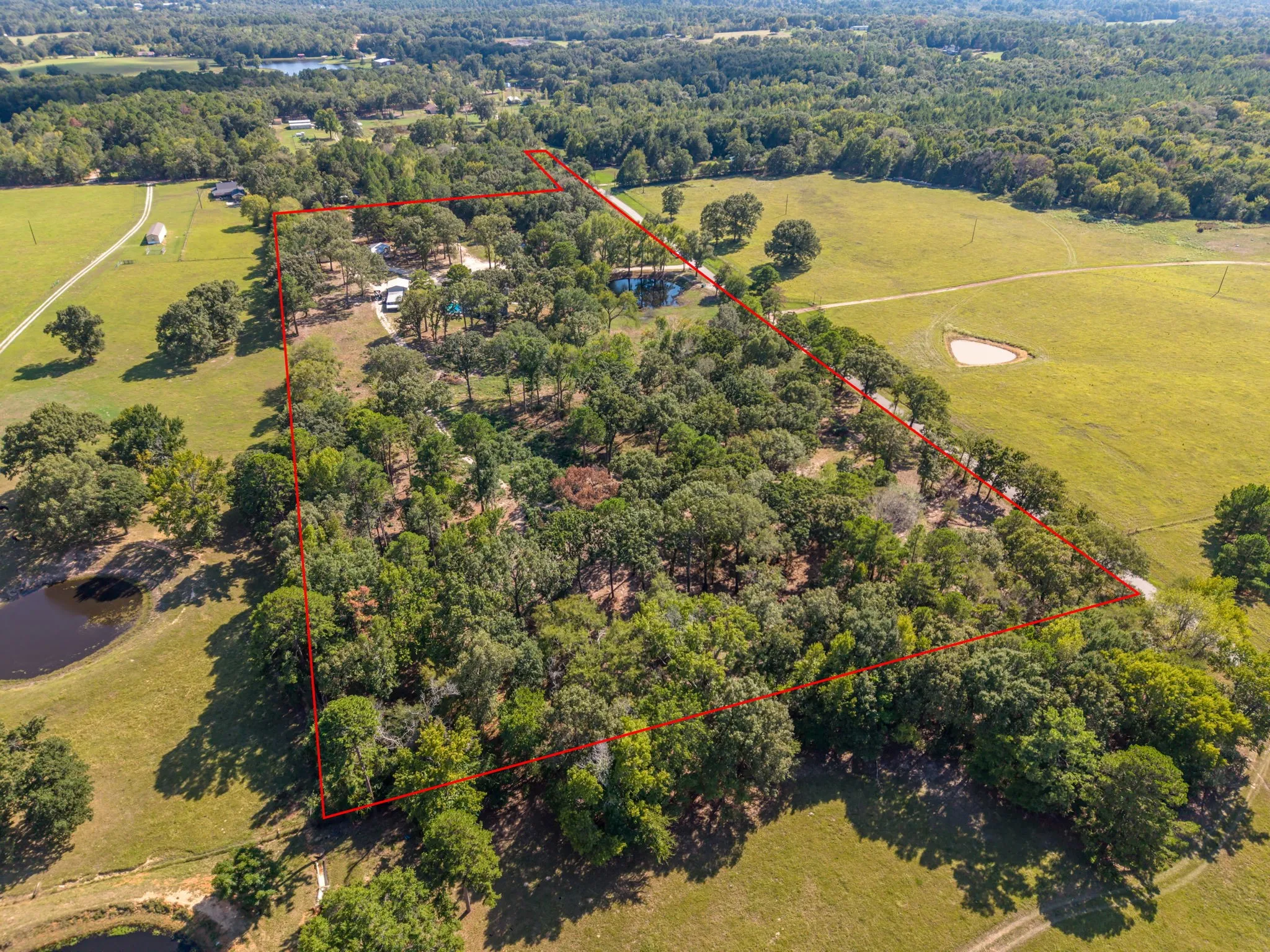 Farm For Sale in Henderson County , 9500 County Road 3603, Brownsboro, Texas 75756, 5 Bedroom, 3 Bathroom, Garage spaces, 3,485 Sqft, built in 2020, mls#21386109, Real Estate Agent in Brownsboro, Homes For Sale in Henderson county, Homes For Sale in Brownsboro, Realtor in Brownsboro Texas, Real Estate Brokerage Independent Realty Texas, Luminita Cordes Realtor