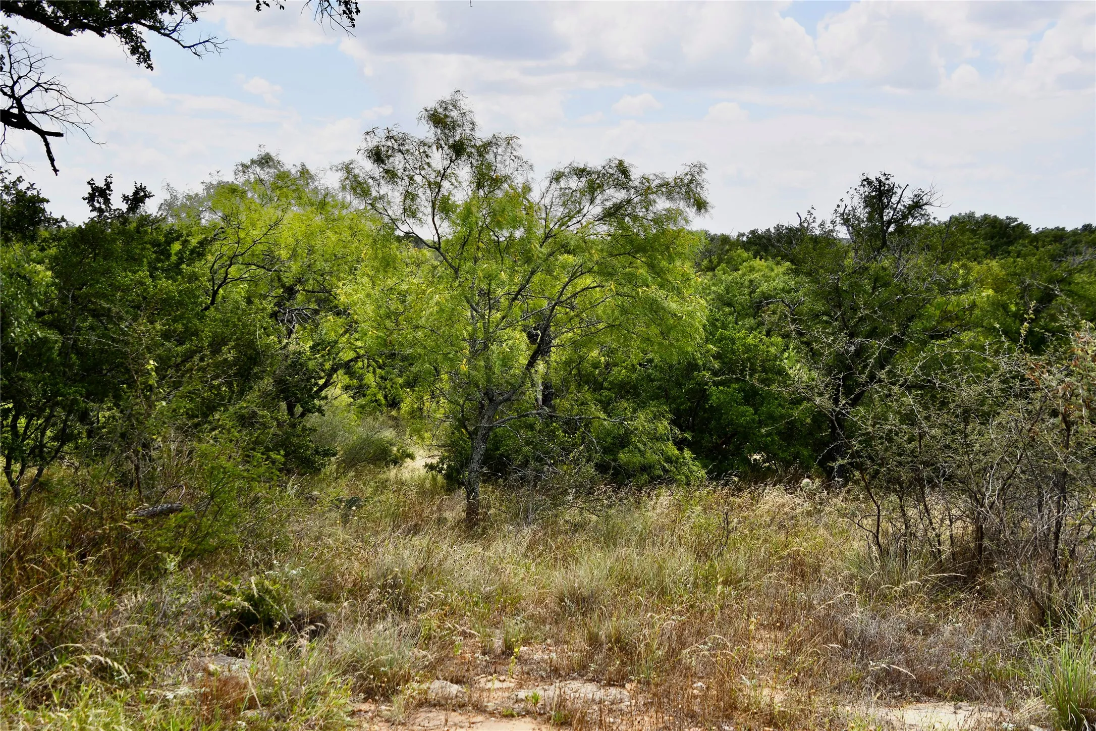 Farm For Sale in San Saba County , 1345 PR 5001, Richland Springs, Texas 76871, 2 Bedroom, 1 Bathroom, 1 Garage spaces, 1,440 Sqft, built in 2022, mls#21386159, Real Estate Agent in Richland Springs, Homes For Sale in San Saba county, Homes For Sale in Richland Springs, Realtor in Richland Springs Texas, Real Estate Brokerage Independent Realty Texas, Luminita Cordes Realtor