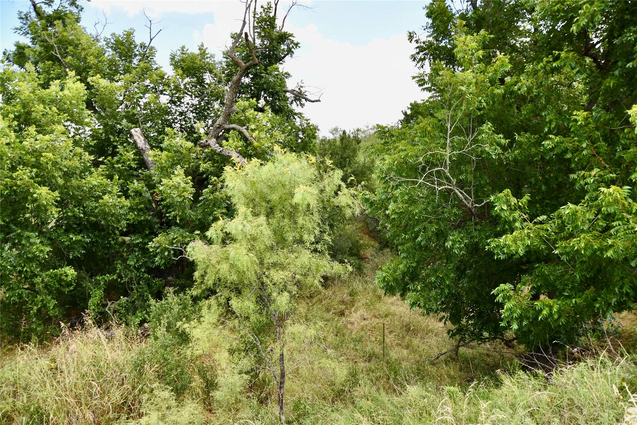 Farm For Sale in San Saba County , 1345 PR 5001, Richland Springs, Texas 76871, 2 Bedroom, 1 Bathroom, 1 Garage spaces, 1,440 Sqft, built in 2022, mls#21386159, Real Estate Agent in Richland Springs, Homes For Sale in San Saba county, Homes For Sale in Richland Springs, Realtor in Richland Springs Texas, Real Estate Brokerage Independent Realty Texas, Luminita Cordes Realtor