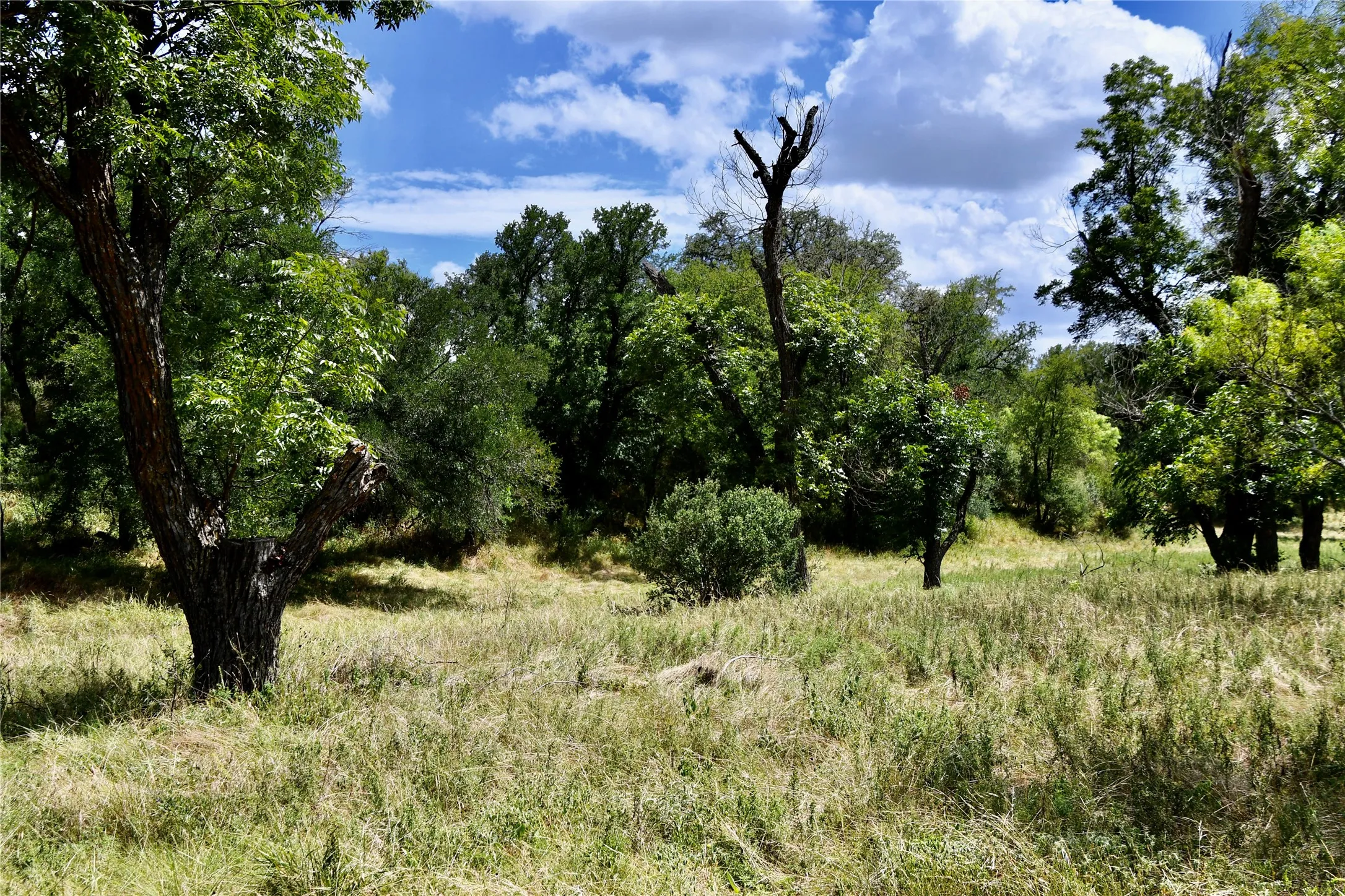 Farm For Sale in San Saba County , 1345 PR 5001, Richland Springs, Texas 76871, 2 Bedroom, 1 Bathroom, 1 Garage spaces, 1,440 Sqft, built in 2022, mls#21386159, Real Estate Agent in Richland Springs, Homes For Sale in San Saba county, Homes For Sale in Richland Springs, Realtor in Richland Springs Texas, Real Estate Brokerage Independent Realty Texas, Luminita Cordes Realtor
