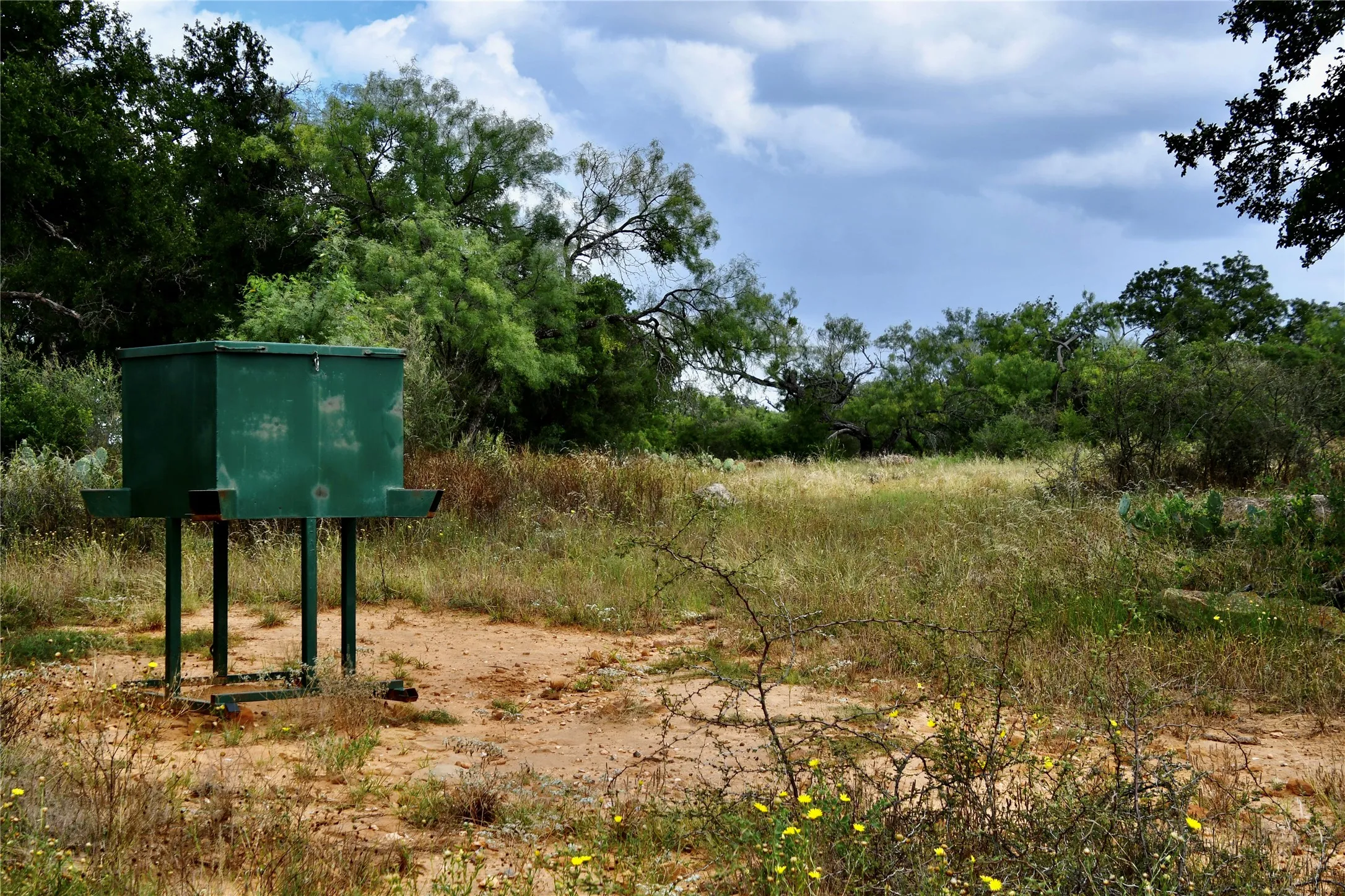 Farm For Sale in San Saba County , 1345 PR 5001, Richland Springs, Texas 76871, 2 Bedroom, 1 Bathroom, 1 Garage spaces, 1,440 Sqft, built in 2022, mls#21386159, Real Estate Agent in Richland Springs, Homes For Sale in San Saba county, Homes For Sale in Richland Springs, Realtor in Richland Springs Texas, Real Estate Brokerage Independent Realty Texas, Luminita Cordes Realtor