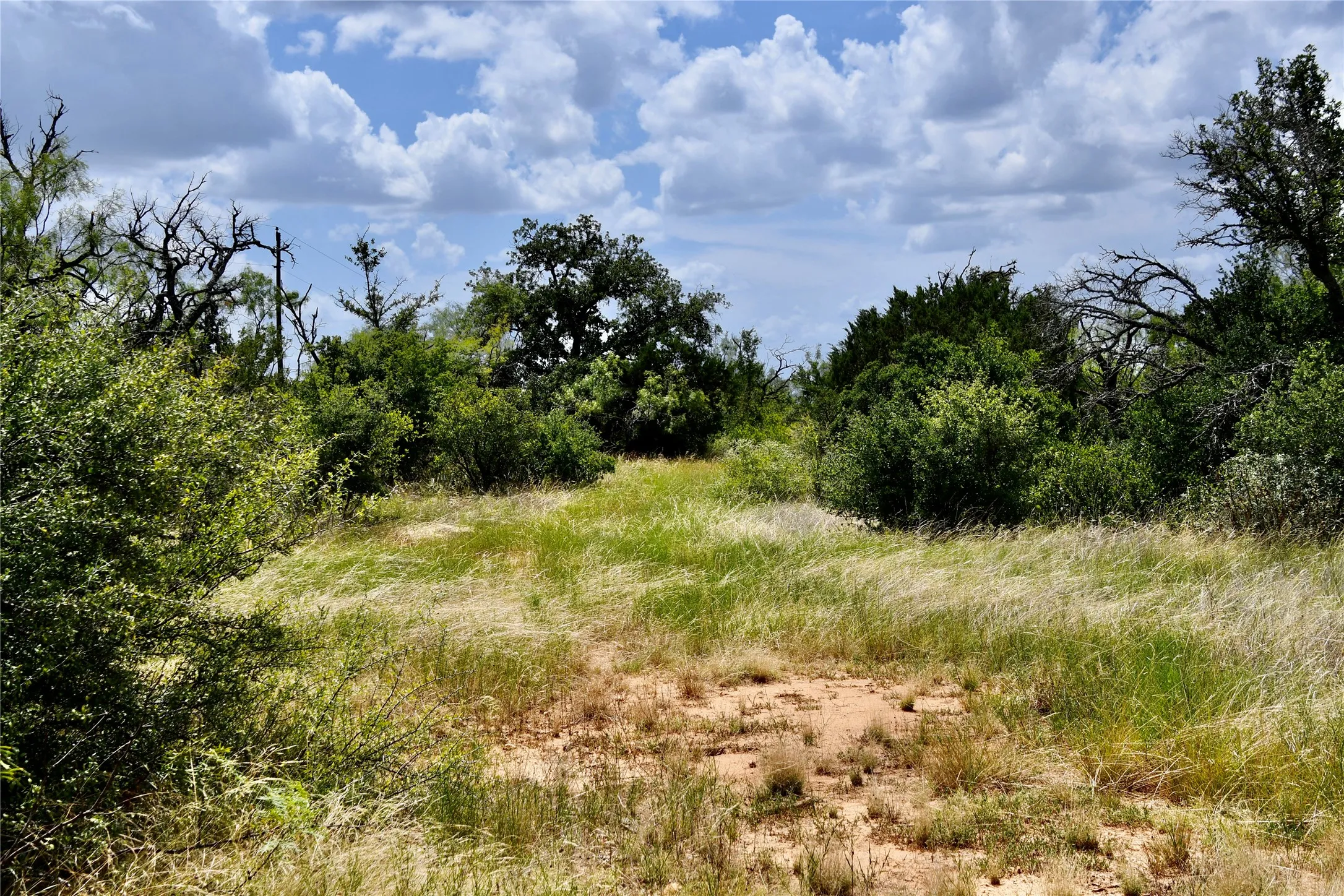 Farm For Sale in San Saba County , 1345 PR 5001, Richland Springs, Texas 76871, 2 Bedroom, 1 Bathroom, 1 Garage spaces, 1,440 Sqft, built in 2022, mls#21386159, Real Estate Agent in Richland Springs, Homes For Sale in San Saba county, Homes For Sale in Richland Springs, Realtor in Richland Springs Texas, Real Estate Brokerage Independent Realty Texas, Luminita Cordes Realtor