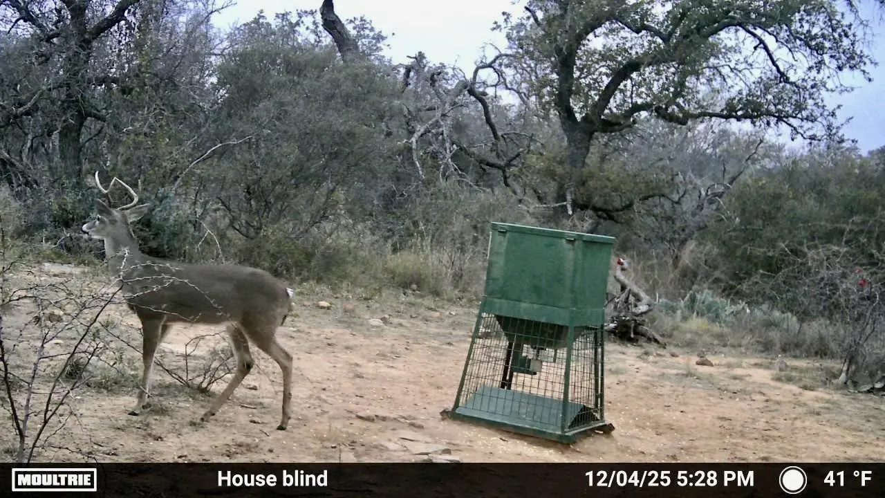 Farm For Sale in San Saba County , 1345 PR 5001, Richland Springs, Texas 76871, 2 Bedroom, 1 Bathroom, 1 Garage spaces, 1,440 Sqft, built in 2022, mls#21386159, Real Estate Agent in Richland Springs, Homes For Sale in San Saba county, Homes For Sale in Richland Springs, Realtor in Richland Springs Texas, Real Estate Brokerage Independent Realty Texas, Luminita Cordes Realtor
