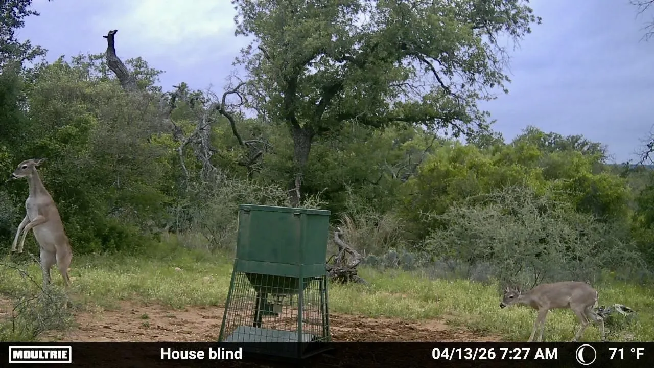 Farm For Sale in San Saba County , 1345 PR 5001, Richland Springs, Texas 76871, 2 Bedroom, 1 Bathroom, 1 Garage spaces, 1,440 Sqft, built in 2022, mls#21386159, Real Estate Agent in Richland Springs, Homes For Sale in San Saba county, Homes For Sale in Richland Springs, Realtor in Richland Springs Texas, Real Estate Brokerage Independent Realty Texas, Luminita Cordes Realtor