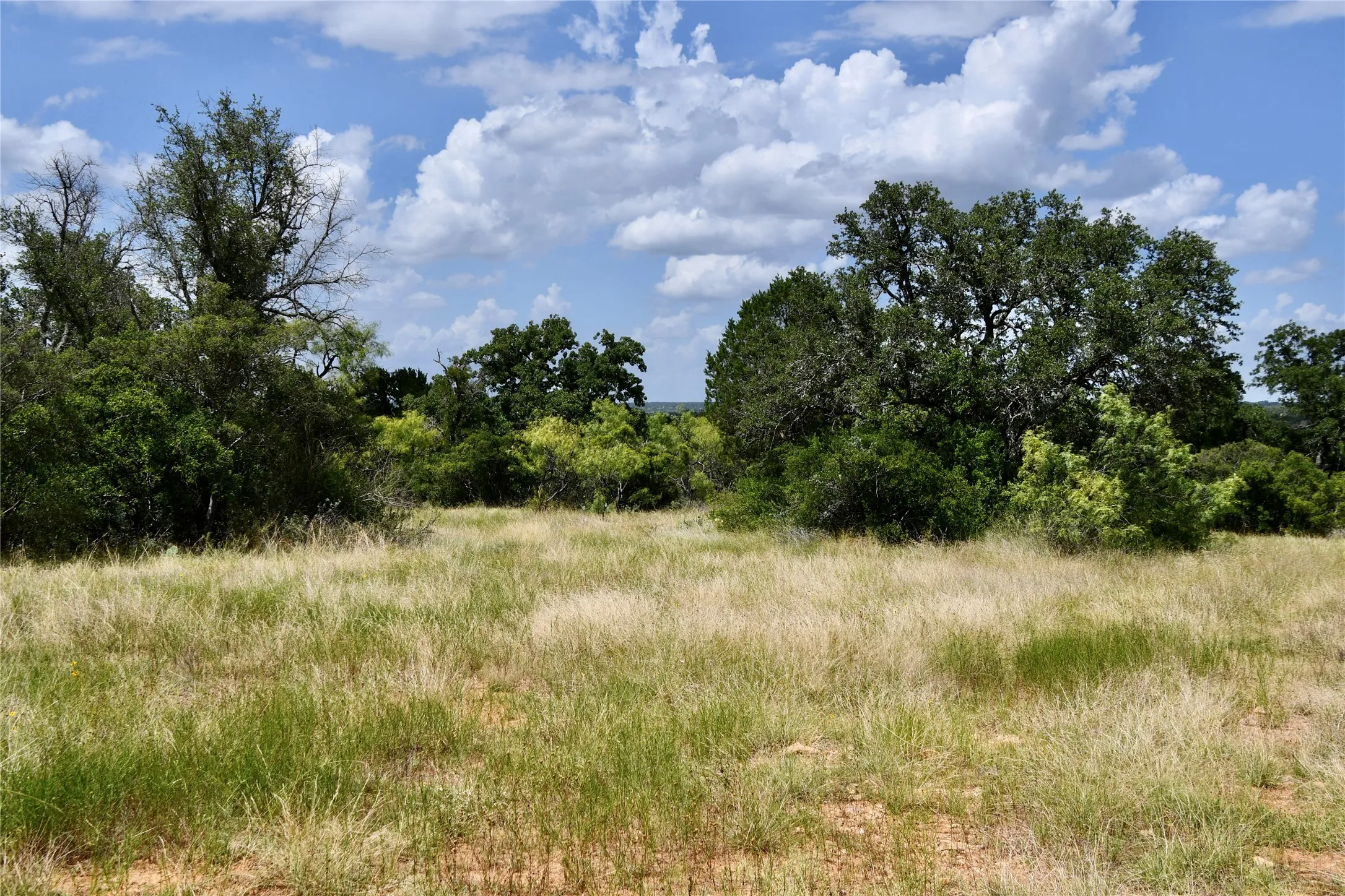 Farm For Sale in San Saba County , 1345 PR 5001, Richland Springs, Texas 76871, 2 Bedroom, 1 Bathroom, 1 Garage spaces, 1,440 Sqft, built in 2022, mls#21386159, Real Estate Agent in Richland Springs, Homes For Sale in San Saba county, Homes For Sale in Richland Springs, Realtor in Richland Springs Texas, Real Estate Brokerage Independent Realty Texas, Luminita Cordes Realtor