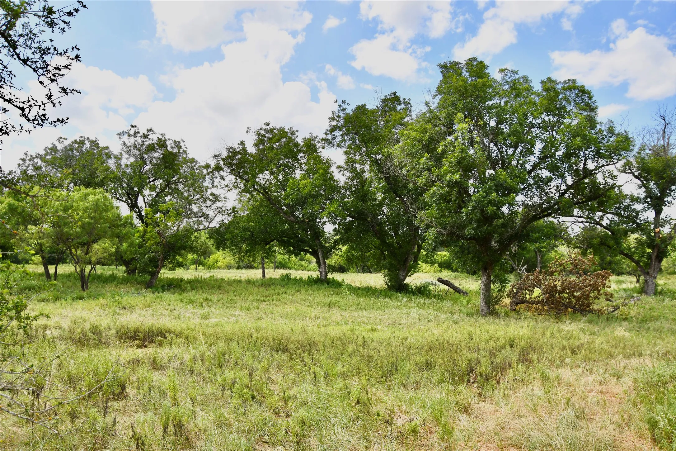 Farm For Sale in San Saba County , 1345 PR 5001, Richland Springs, Texas 76871, 2 Bedroom, 1 Bathroom, 1 Garage spaces, 1,440 Sqft, built in 2022, mls#21386159, Real Estate Agent in Richland Springs, Homes For Sale in San Saba county, Homes For Sale in Richland Springs, Realtor in Richland Springs Texas, Real Estate Brokerage Independent Realty Texas, Luminita Cordes Realtor