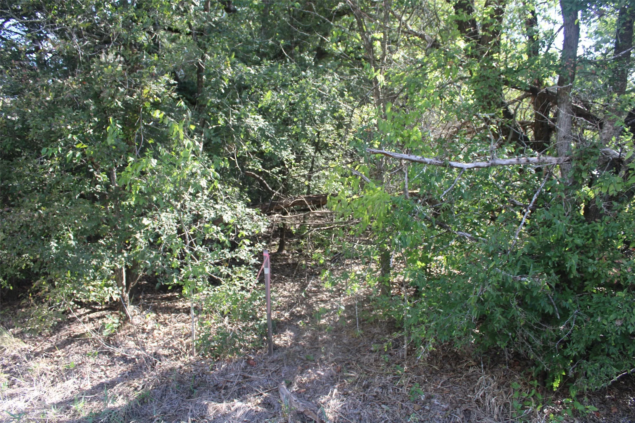 Unimproved Land For Sale in Limestone County , 154 LCR 410 154 LCR 410, Groesbeck, Texas 76642, 0, 0, Garage spaces, 0 Sqft, built in 0, mls#21386120, Real Estate Agent in Groesbeck, Homes For Sale in Limestone county, Homes For Sale in Groesbeck, Realtor in Groesbeck Texas, Real Estate Brokerage Independent Realty Texas, Luminita Cordes Realtor