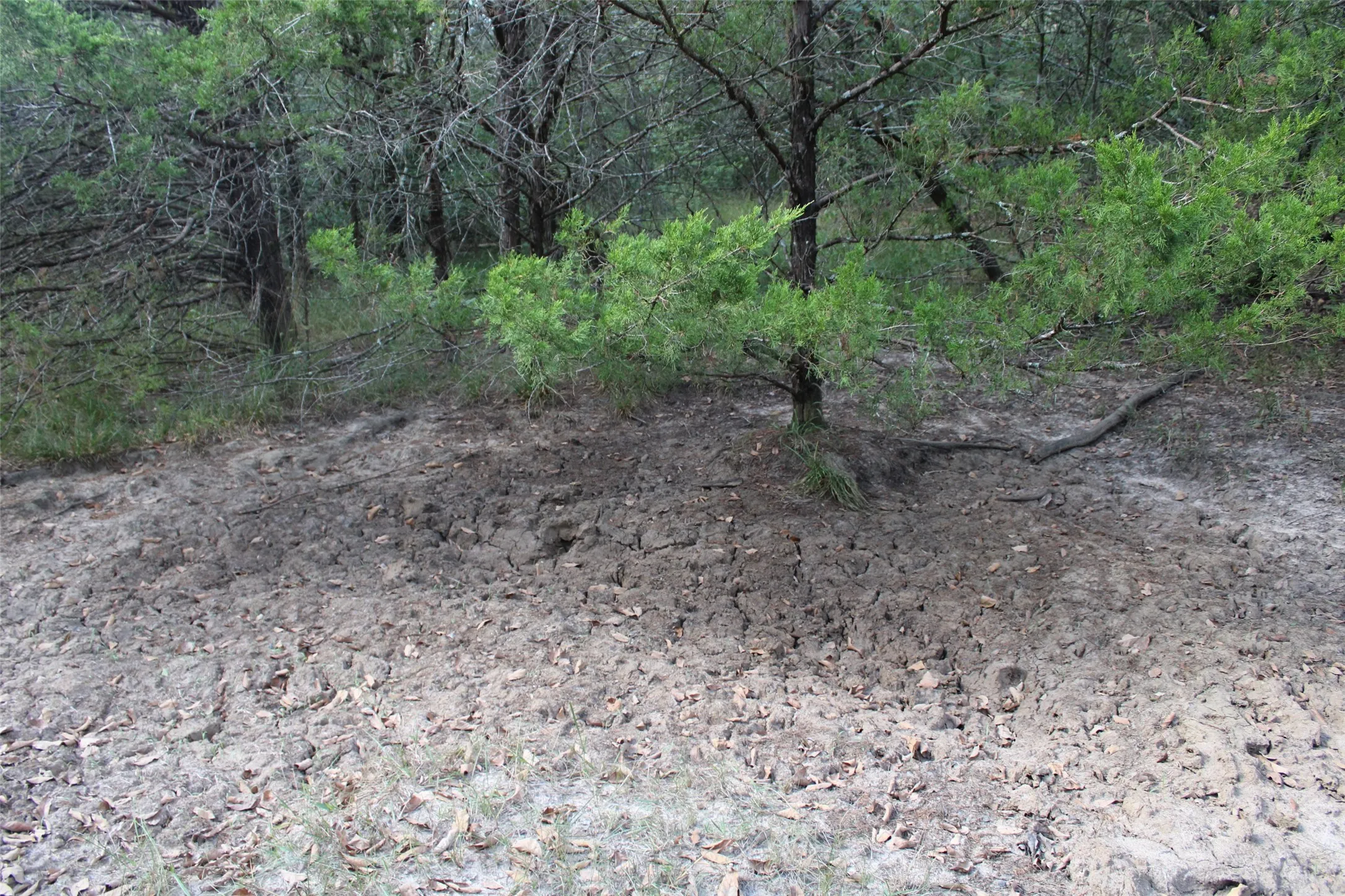 Unimproved Land For Sale in Limestone County , 154 LCR 410 154 LCR 410, Groesbeck, Texas 76642, 0, 0, Garage spaces, 0 Sqft, built in 0, mls#21386120, Real Estate Agent in Groesbeck, Homes For Sale in Limestone county, Homes For Sale in Groesbeck, Realtor in Groesbeck Texas, Real Estate Brokerage Independent Realty Texas, Luminita Cordes Realtor