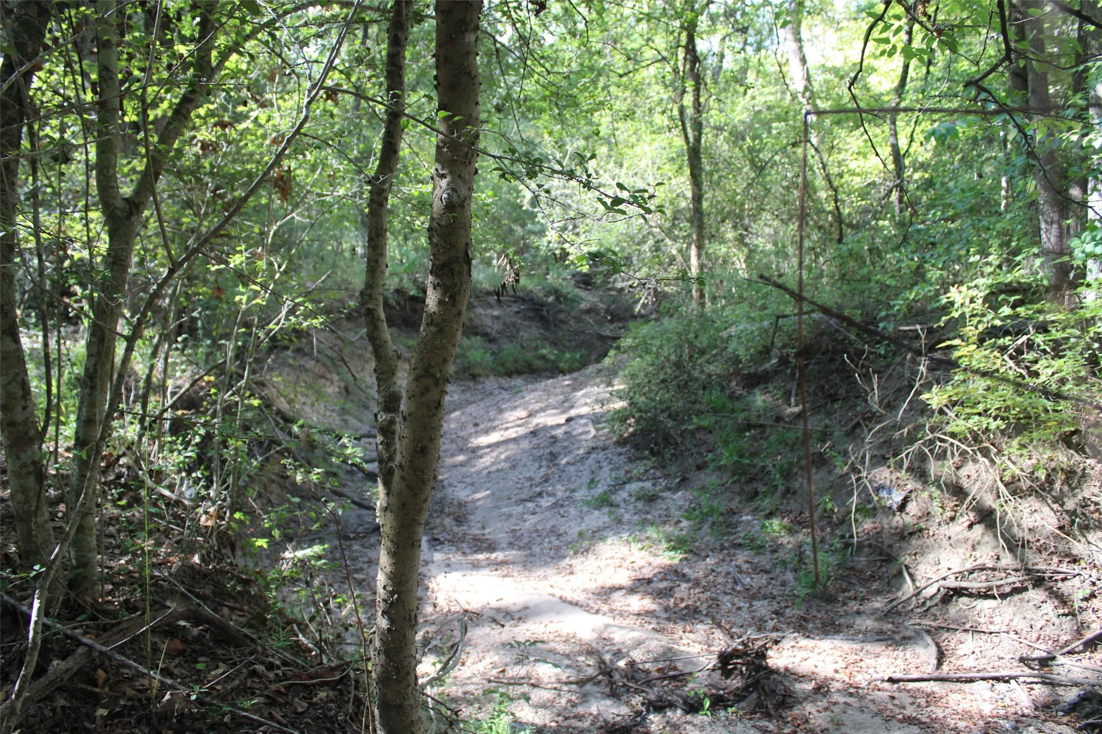 Unimproved Land For Sale in Limestone County , 154 LCR 410 154 LCR 410, Groesbeck, Texas 76642, 0, 0, Garage spaces, 0 Sqft, built in 0, mls#21386120, Real Estate Agent in Groesbeck, Homes For Sale in Limestone county, Homes For Sale in Groesbeck, Realtor in Groesbeck Texas, Real Estate Brokerage Independent Realty Texas, Luminita Cordes Realtor