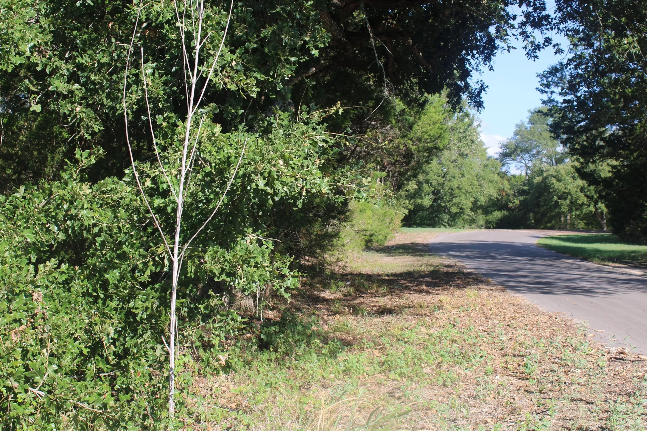 Unimproved Land For Sale in Limestone County , 154 LCR 410 154 LCR 410, Groesbeck, Texas 76642, 0, 0, Garage spaces, 0 Sqft, built in 0, mls#21386120, Real Estate Agent in Groesbeck, Homes For Sale in Limestone county, Homes For Sale in Groesbeck, Realtor in Groesbeck Texas, Real Estate Brokerage Independent Realty Texas, Luminita Cordes Realtor
