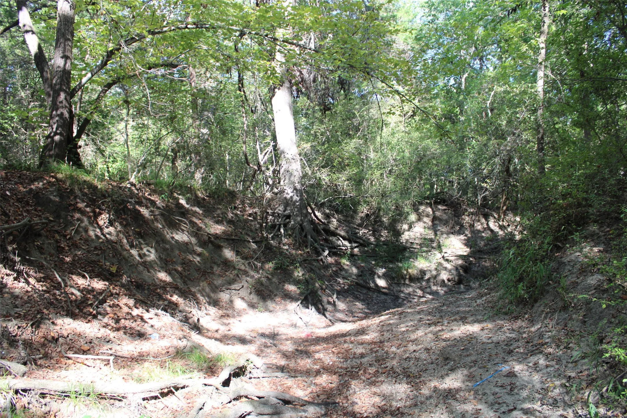 Unimproved Land For Sale in Limestone County , 154 LCR 410 154 LCR 410, Groesbeck, Texas 76642, 0, 0, Garage spaces, 0 Sqft, built in 0, mls#21386120, Real Estate Agent in Groesbeck, Homes For Sale in Limestone county, Homes For Sale in Groesbeck, Realtor in Groesbeck Texas, Real Estate Brokerage Independent Realty Texas, Luminita Cordes Realtor