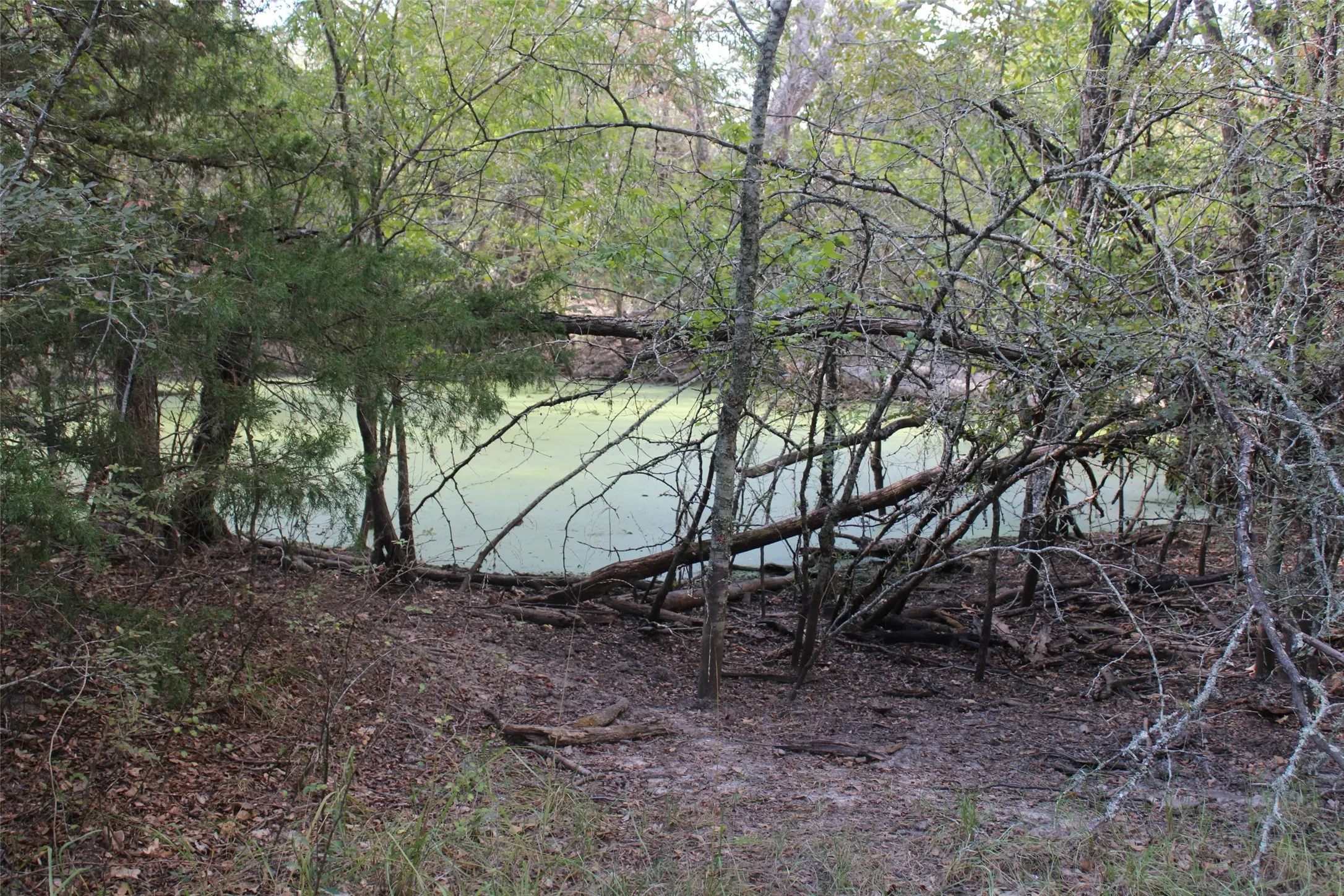 Unimproved Land For Sale in Limestone County , 154 LCR 410 154 LCR 410, Groesbeck, Texas 76642, 0, 0, Garage spaces, 0 Sqft, built in 0, mls#21386120, Real Estate Agent in Groesbeck, Homes For Sale in Limestone county, Homes For Sale in Groesbeck, Realtor in Groesbeck Texas, Real Estate Brokerage Independent Realty Texas, Luminita Cordes Realtor