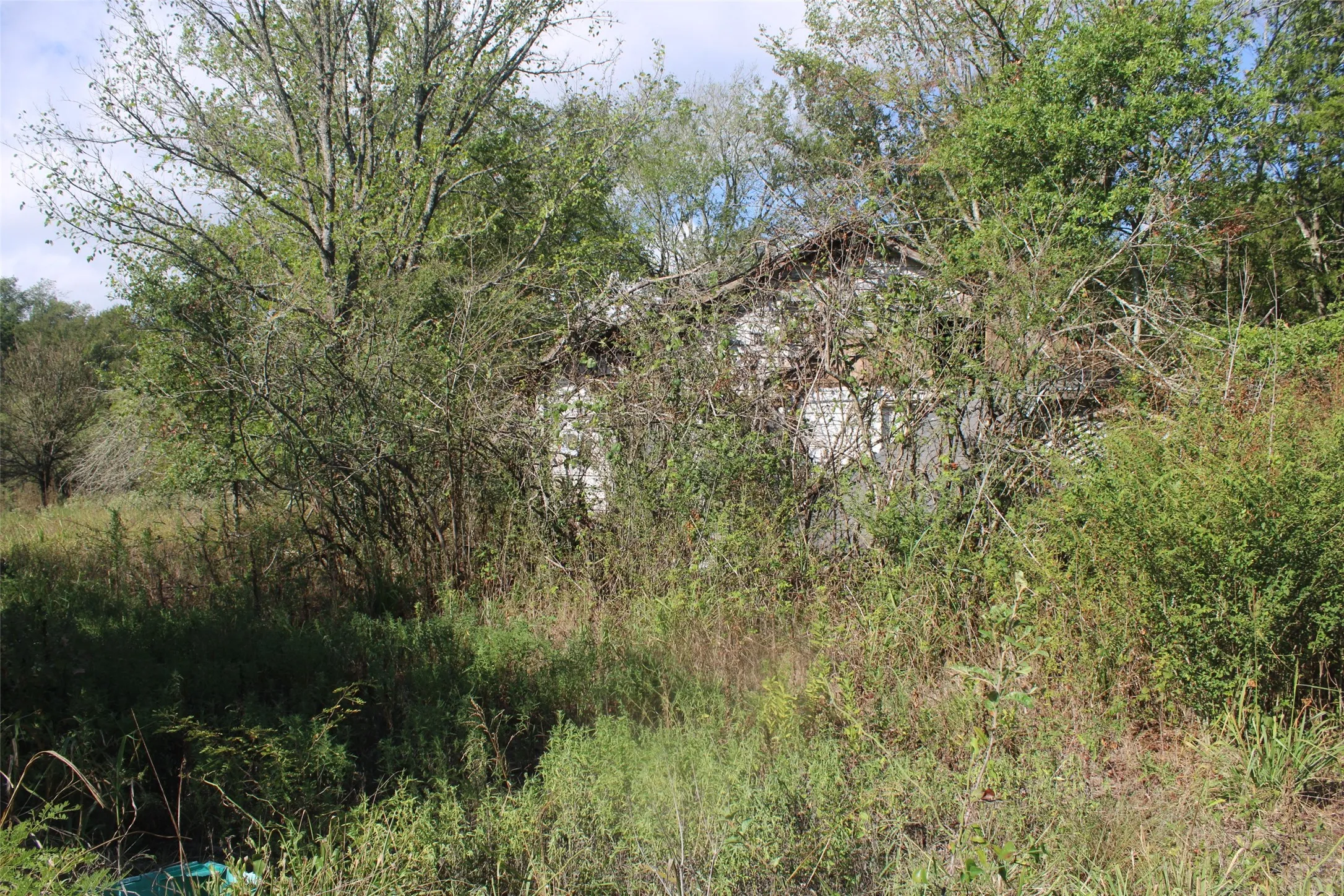 Unimproved Land For Sale in Limestone County , 154 LCR 410 154 LCR 410, Groesbeck, Texas 76642, 0, 0, Garage spaces, 0 Sqft, built in 0, mls#21386120, Real Estate Agent in Groesbeck, Homes For Sale in Limestone county, Homes For Sale in Groesbeck, Realtor in Groesbeck Texas, Real Estate Brokerage Independent Realty Texas, Luminita Cordes Realtor