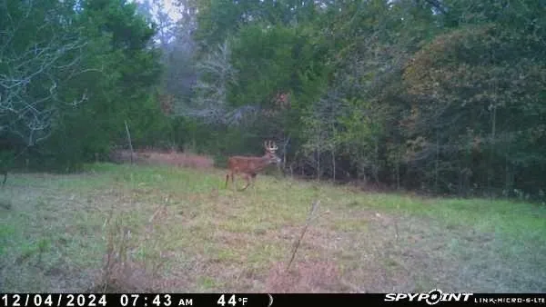 Unimproved Land For Sale in Limestone County , 154 LCR 410 154 LCR 410, Groesbeck, Texas 76642, 0, 0, Garage spaces, 0 Sqft, built in 0, mls#21386120, Real Estate Agent in Groesbeck, Homes For Sale in Limestone county, Homes For Sale in Groesbeck, Realtor in Groesbeck Texas, Real Estate Brokerage Independent Realty Texas, Luminita Cordes Realtor