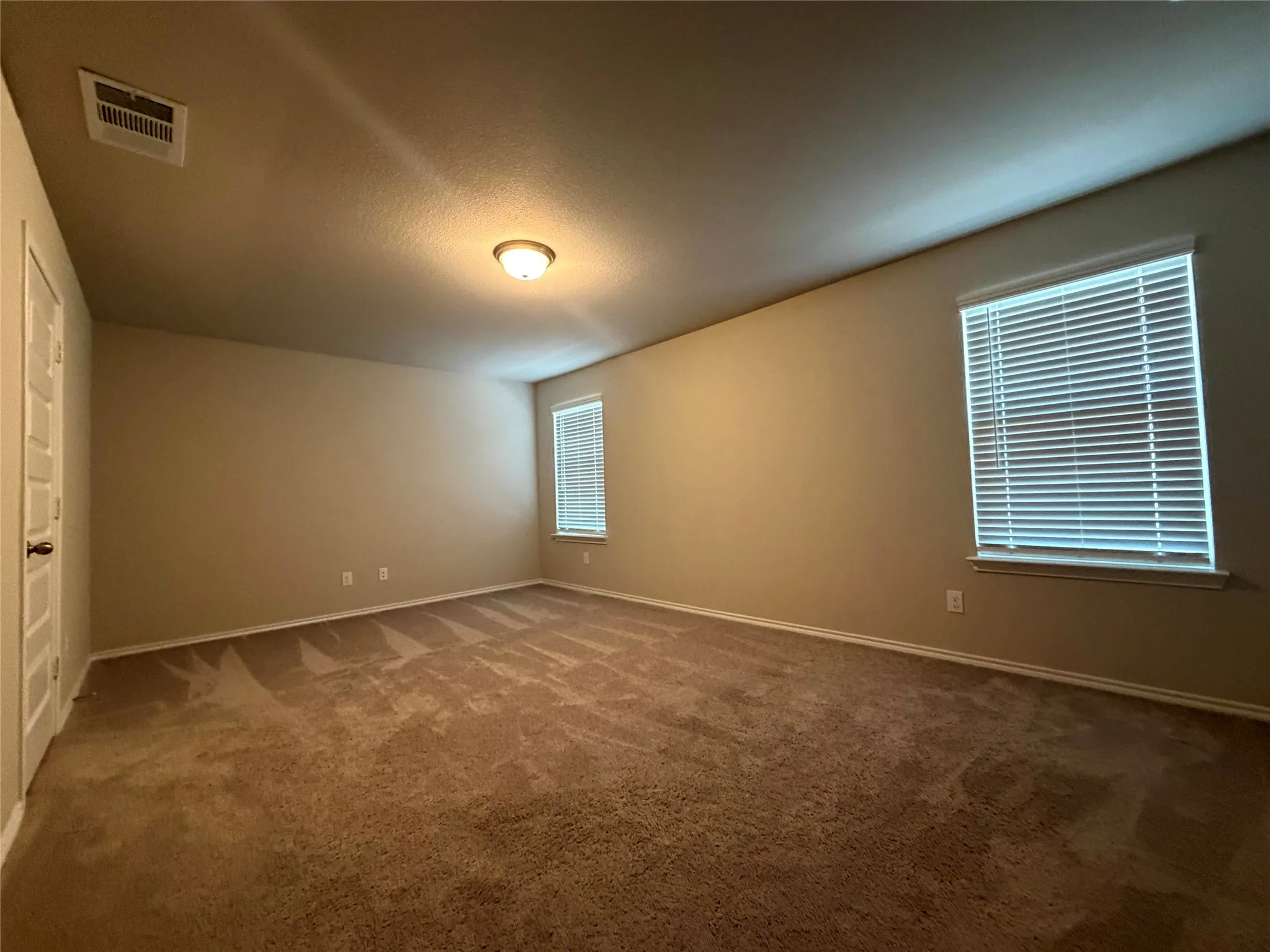 Spacious room with neutral-toned walls, plush carpet flooring, two windows with blinds, and a ceiling-mounted light fixture