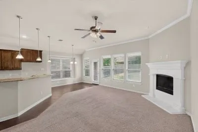 Single Family Residence For Rent in Collin County , 2100 Mc Allister, Princeton, Texas 75407, 3 Bedroom, 2 Bathroom, 2 Garage spaces, 1,740 Sqft, built in 2017, mls#21386261, Real Estate Agent in Princeton, Homes For Rent in Collin county, Homes For Rent in Princeton, Realtor in Princeton Texas, Real Estate Brokerage Independent Realty Texas, Luminita Cordes Realtor