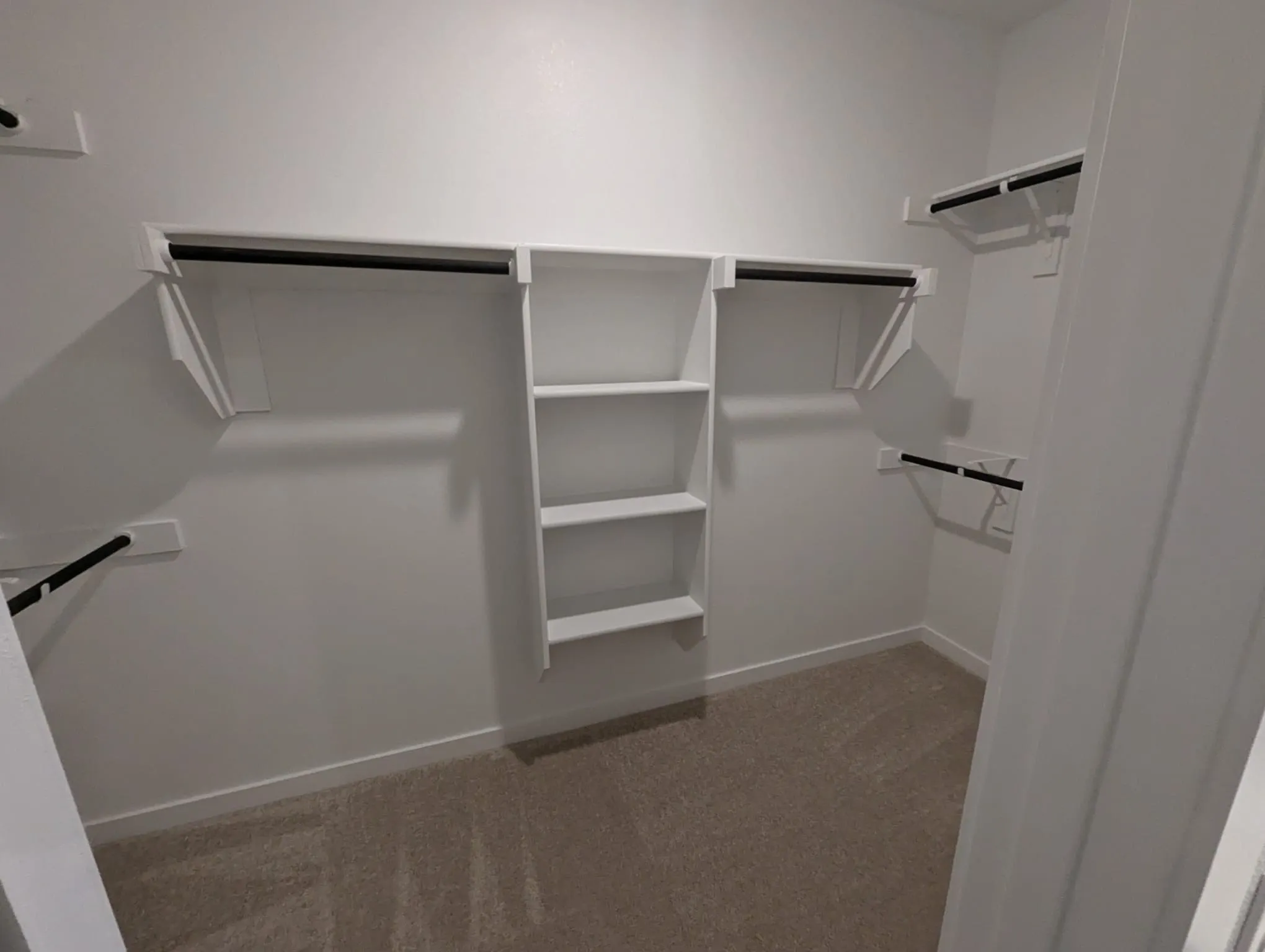 Spacious closet featuring carpet flooring