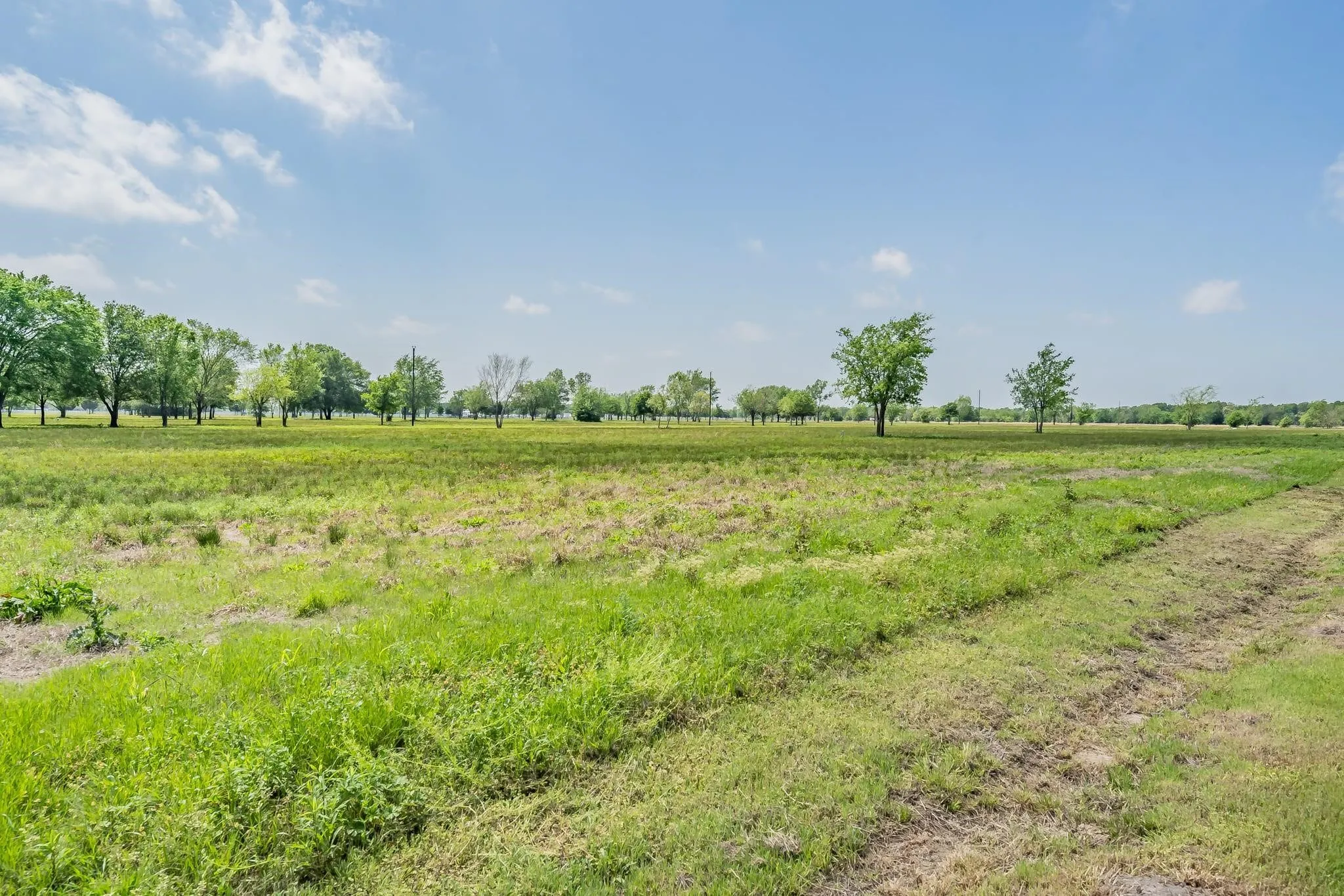 Unimproved Land For Sale in Van Zandt County , TBD VZ CR 3910, Wills Point, Texas 75169, 0, 0, Garage spaces, 0 Sqft, built in 0, mls#21386060, Real Estate Agent in Wills Point, Homes For Sale in Van Zandt county, Homes For Sale in Wills Point, Realtor in Wills Point Texas, Real Estate Brokerage Independent Realty Texas, Luminita Cordes Realtor